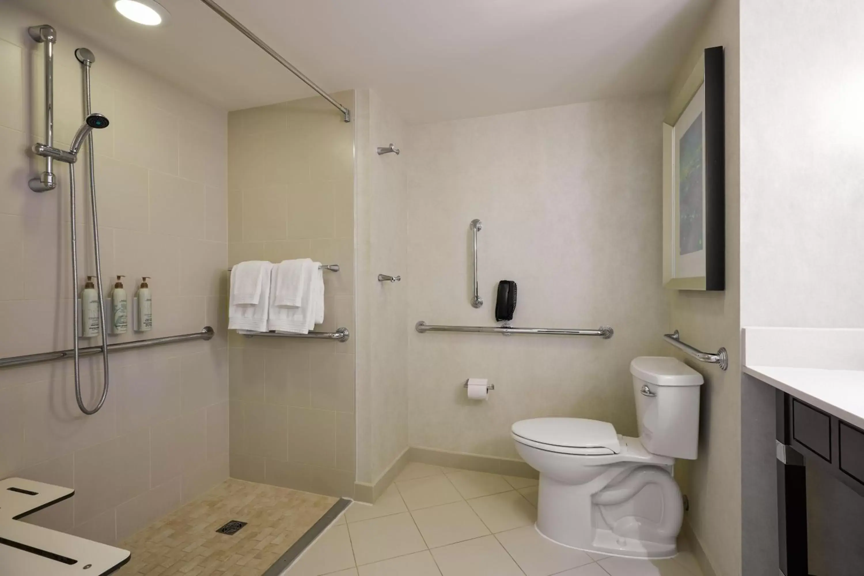 Bathroom in Renaissance Arlington Capital View Hotel