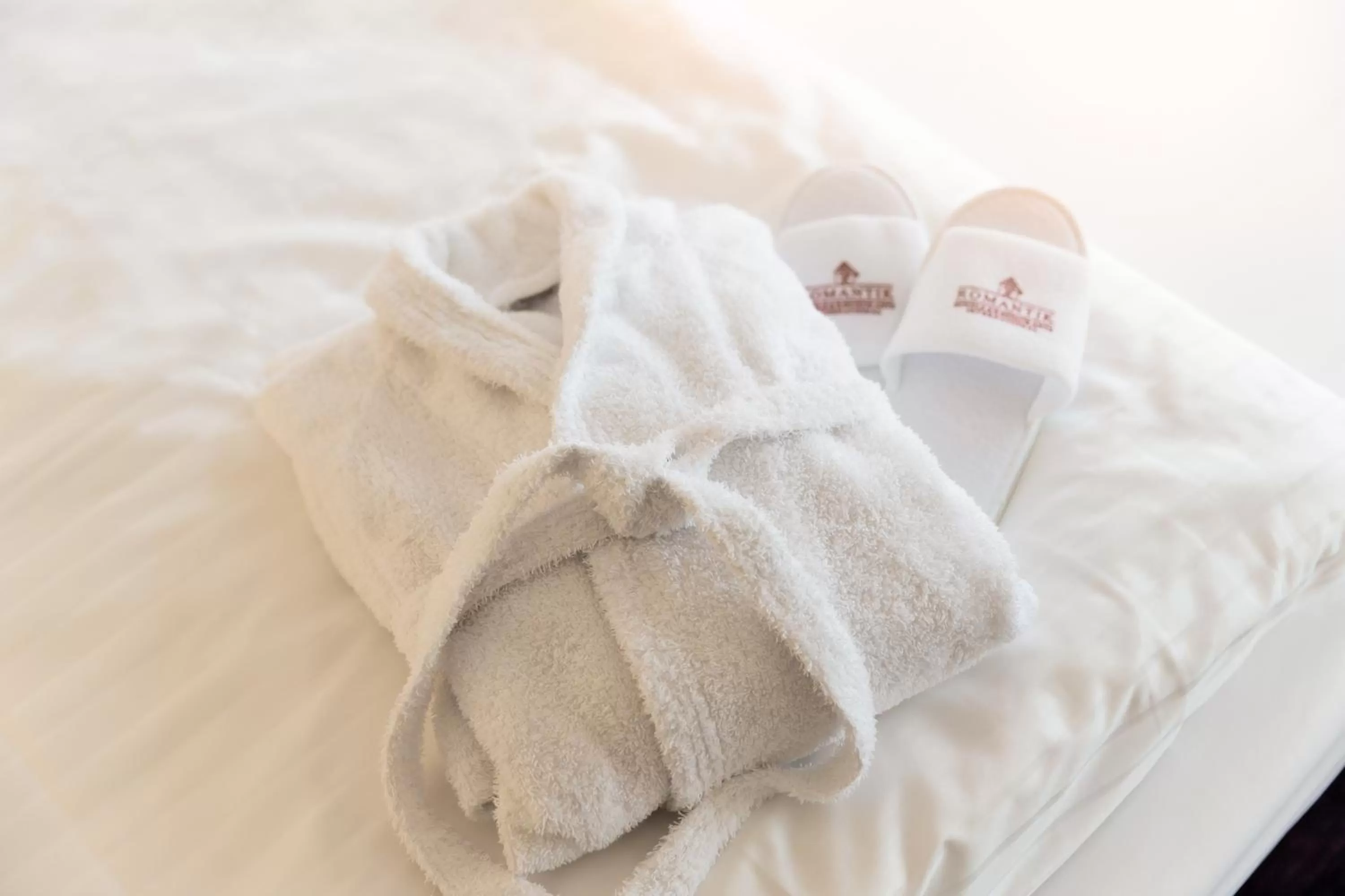 Other in Parkhotel FRITZ am Brunnen