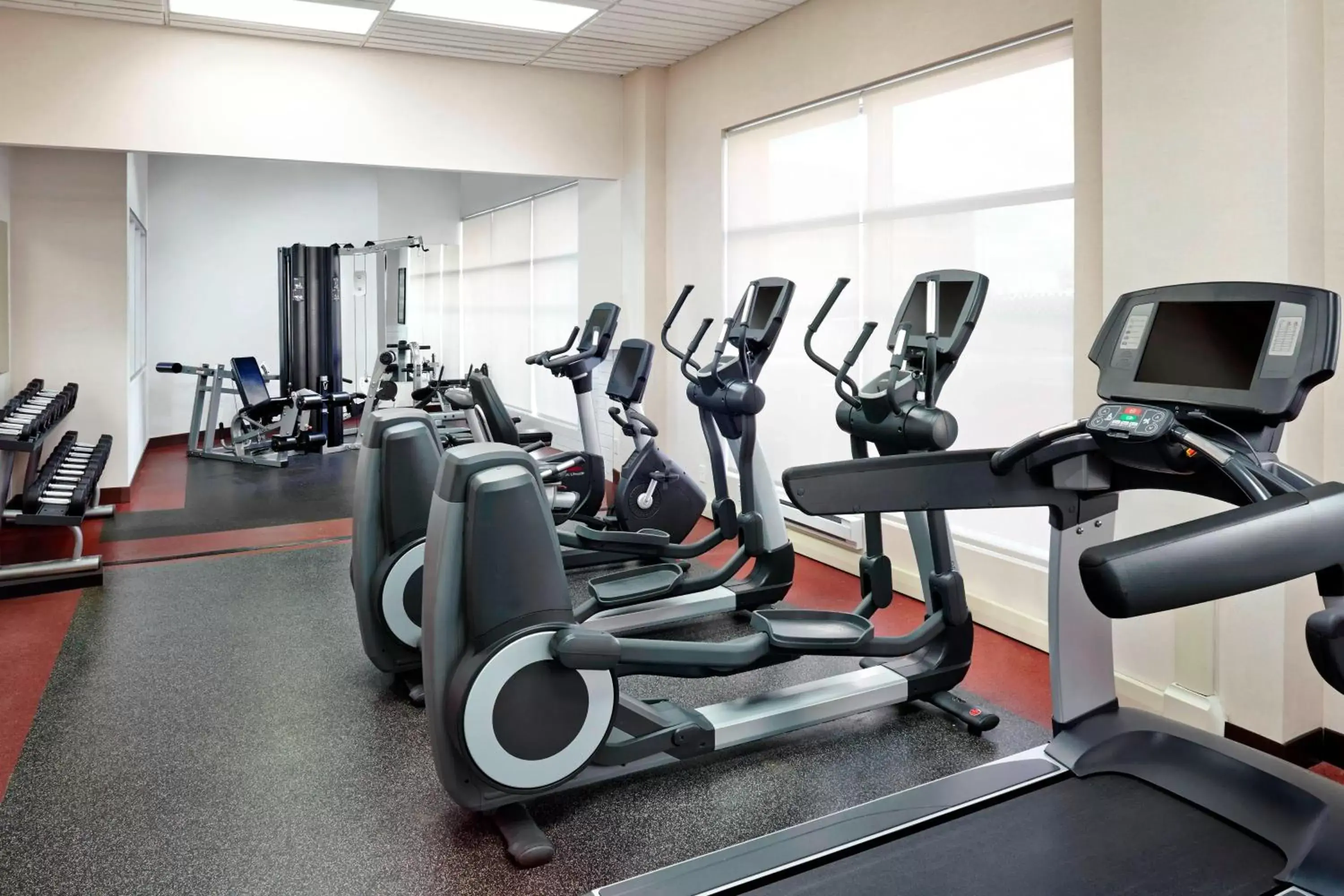 Fitness centre/facilities, Fitness Center/Facilities in Four Points by Sheraton Calgary Airport