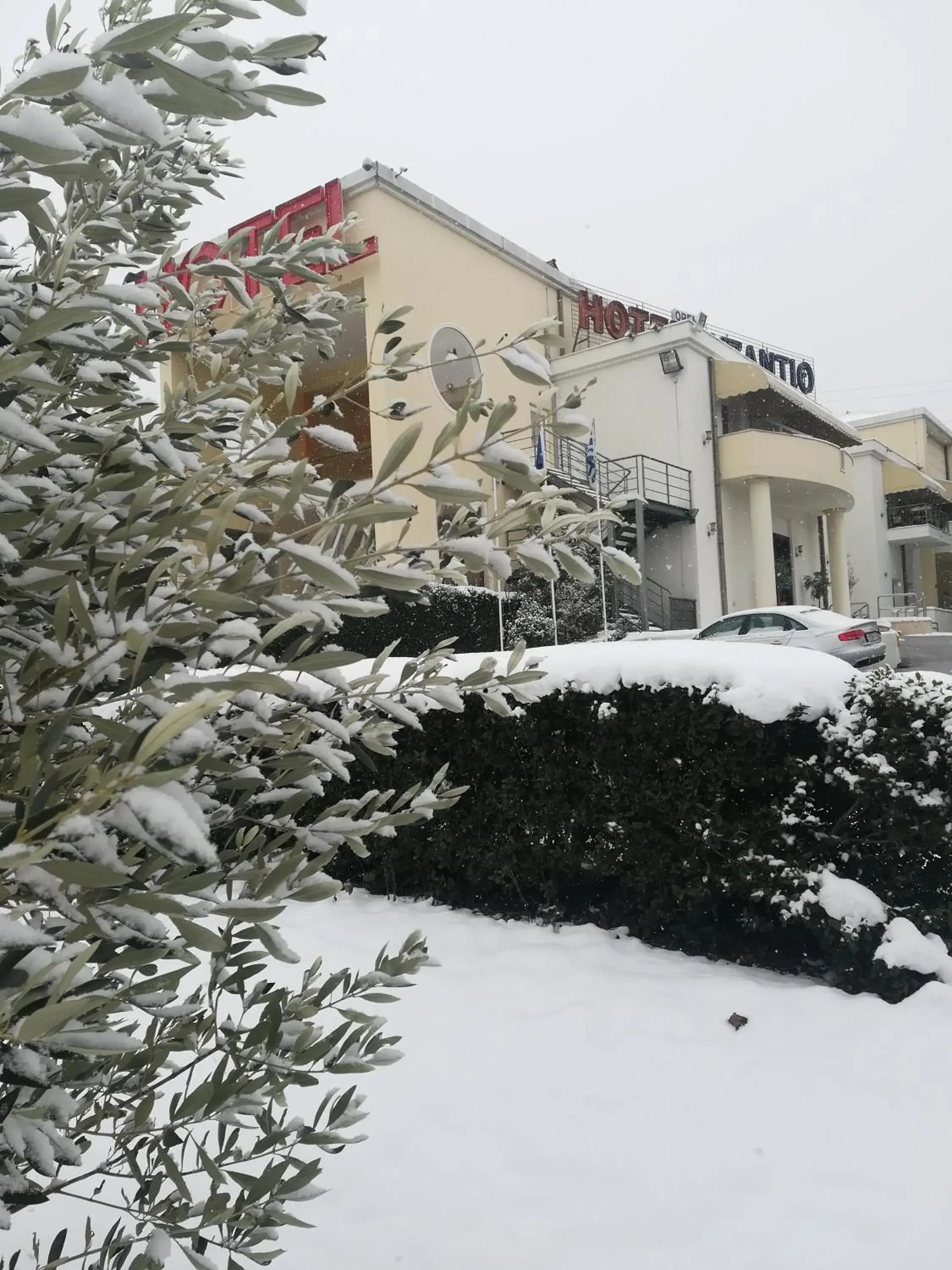 Garden view, Winter in Byzantio Hotel