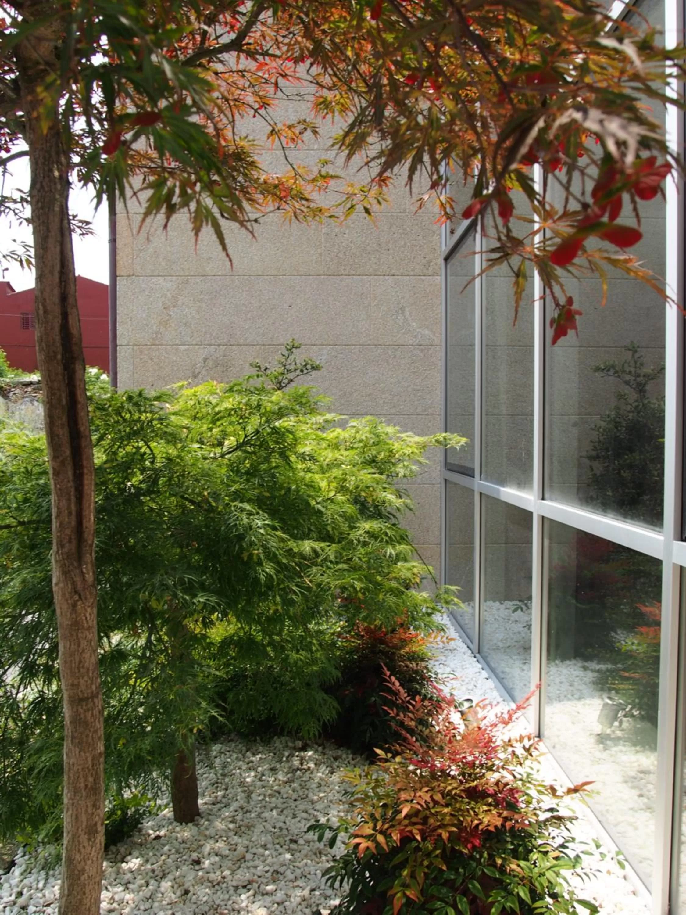 Garden in HOTEL BOUTIQUE VILAVELLA