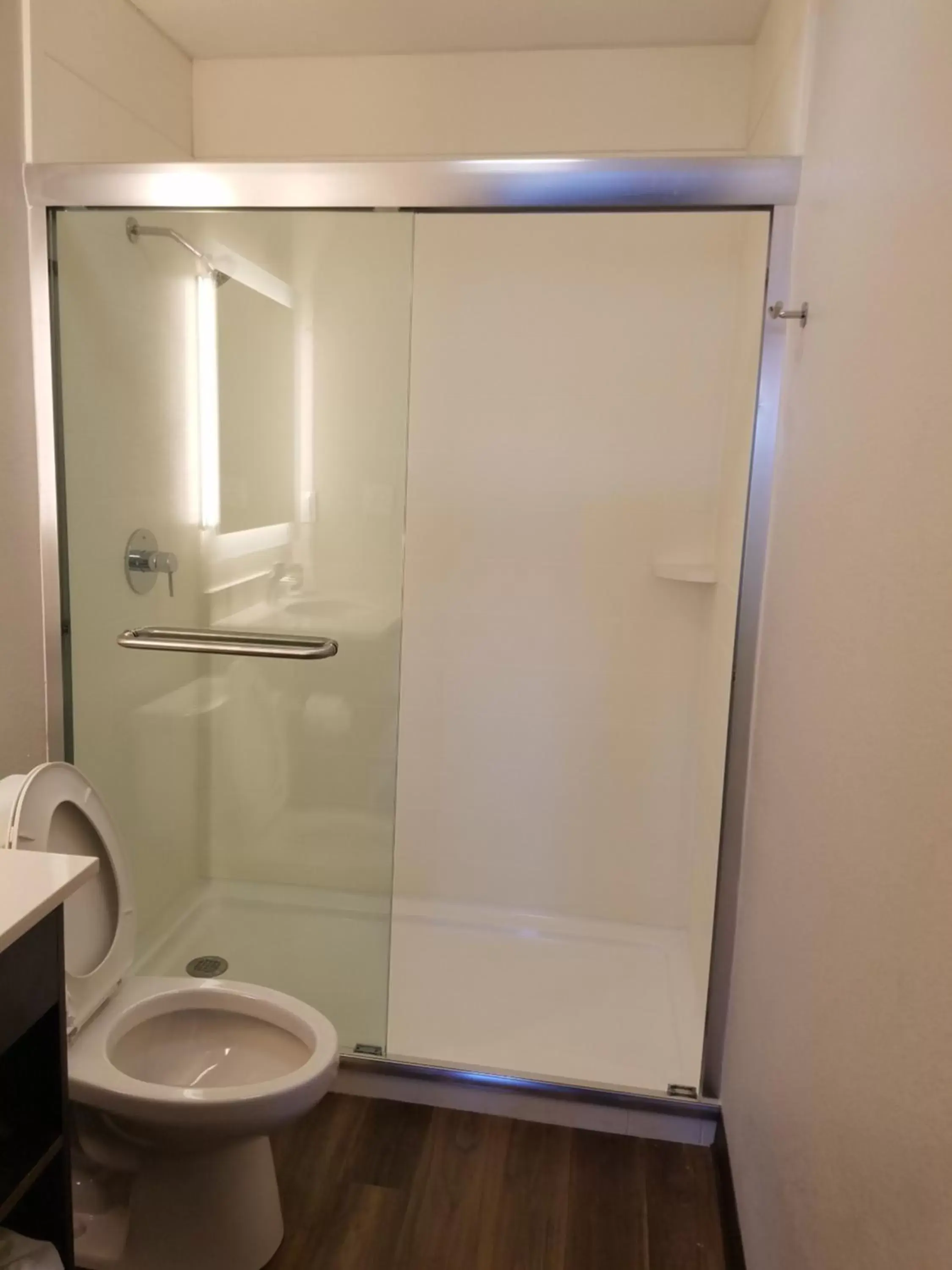 Shower, Bathroom in Hotel South Tampa & Suites
