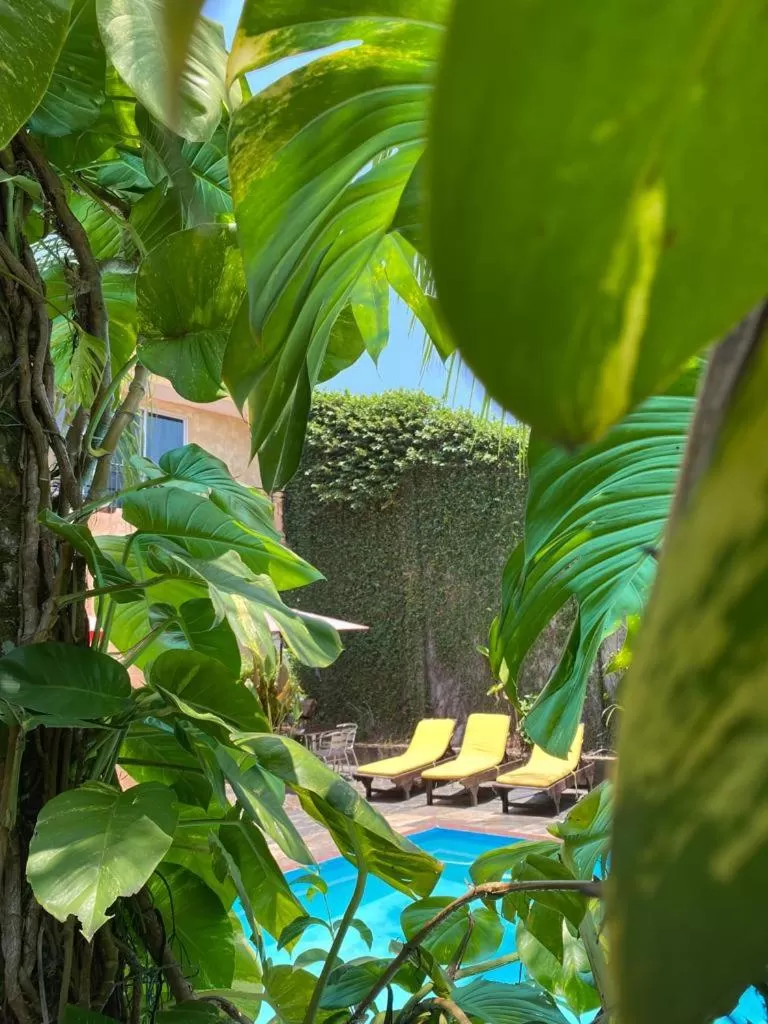 Hotel Camino Surreal Xilitla