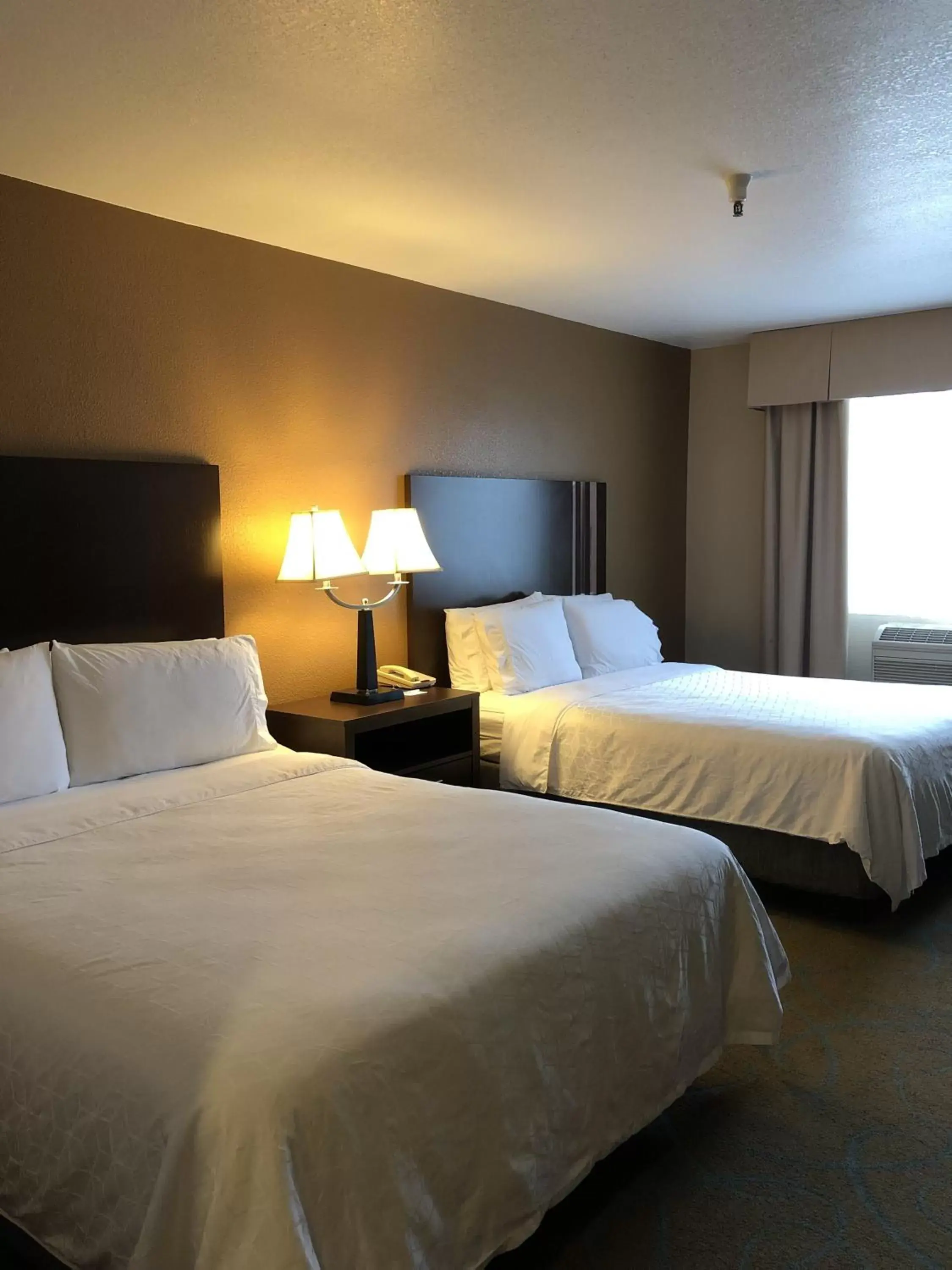 Photo of the whole room, Bed in Holiday Inn Express Winnemucca, an IHG Hotel