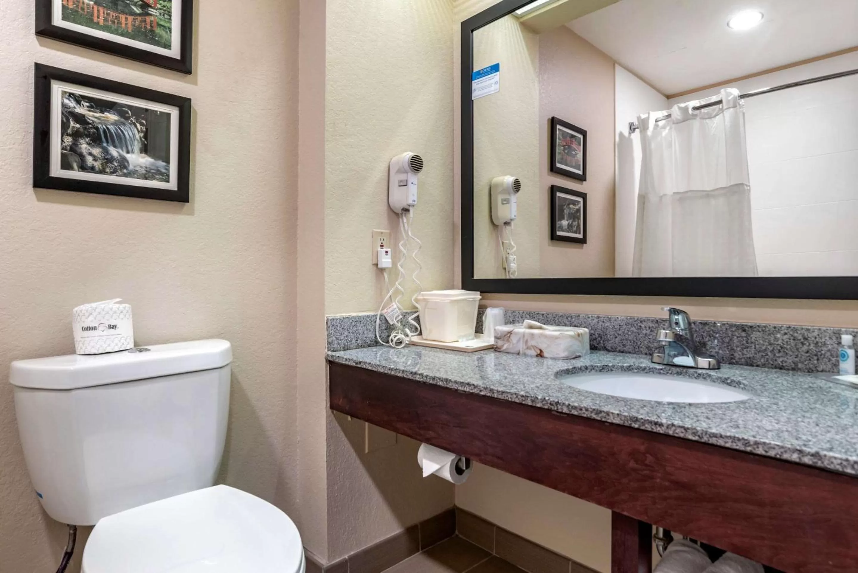 Bathroom in Comfort Inn Birmingham - Irondale