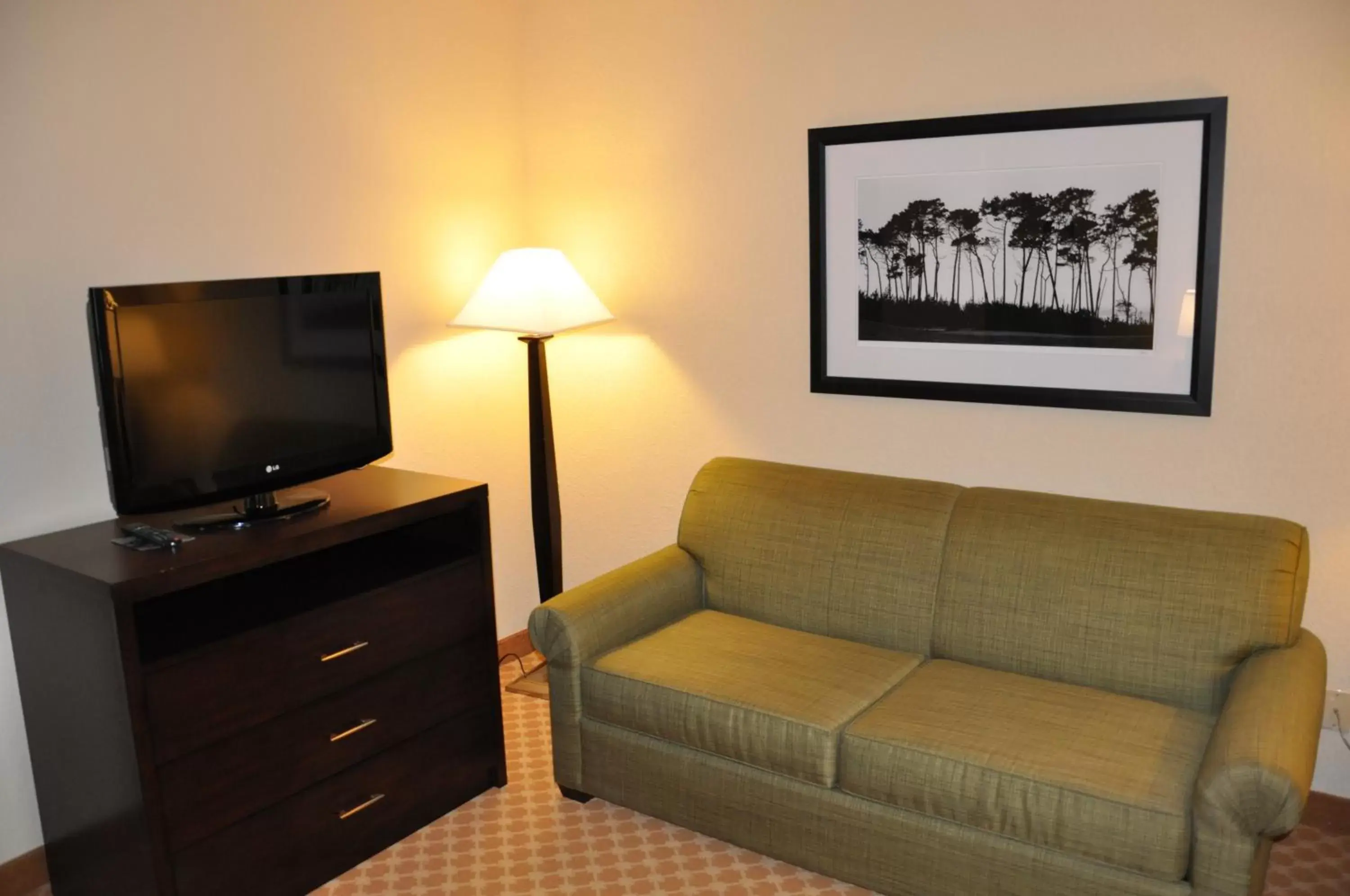 TV and multimedia, Seating Area in Country Inn & Suites by Radisson, Coon Rapids, MN