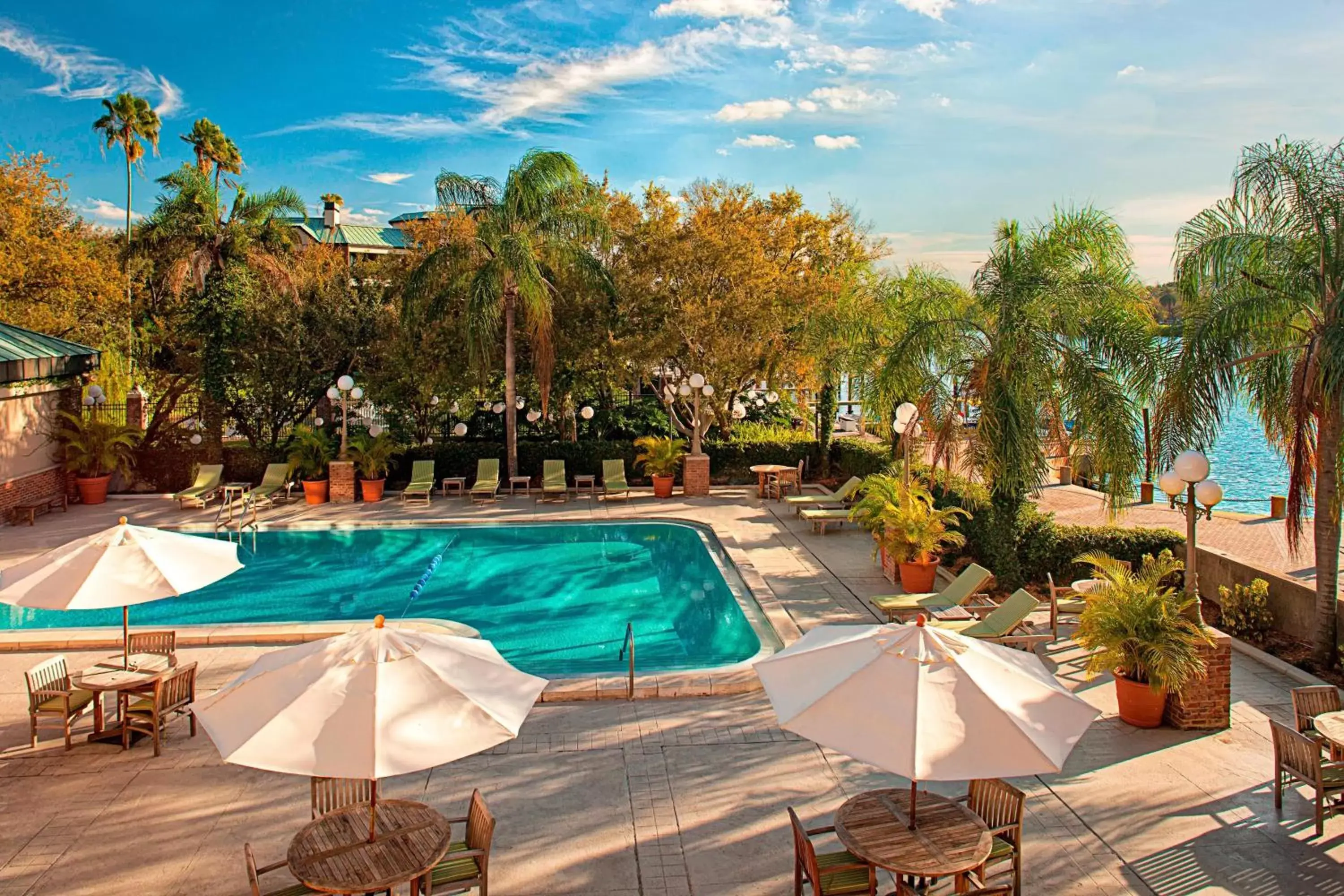 Swimming pool, Pool View in The Westin Tampa Waterside