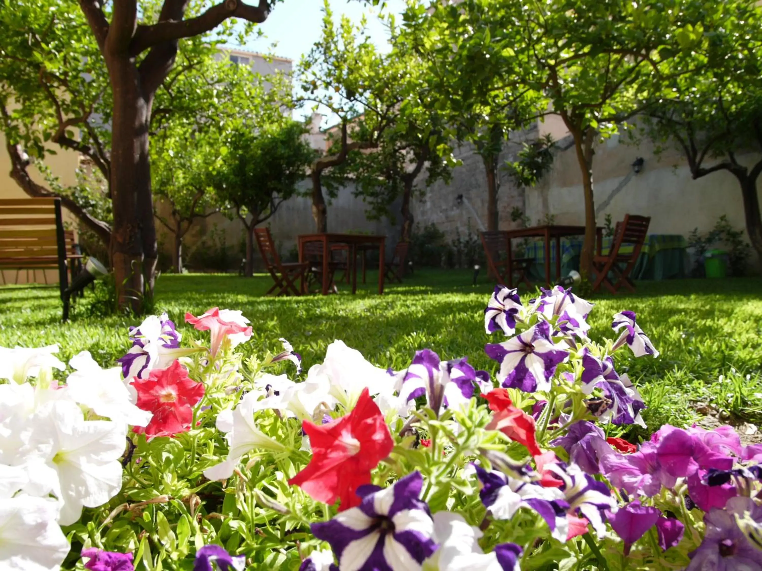 Garden in Il Giardino Del Barocco