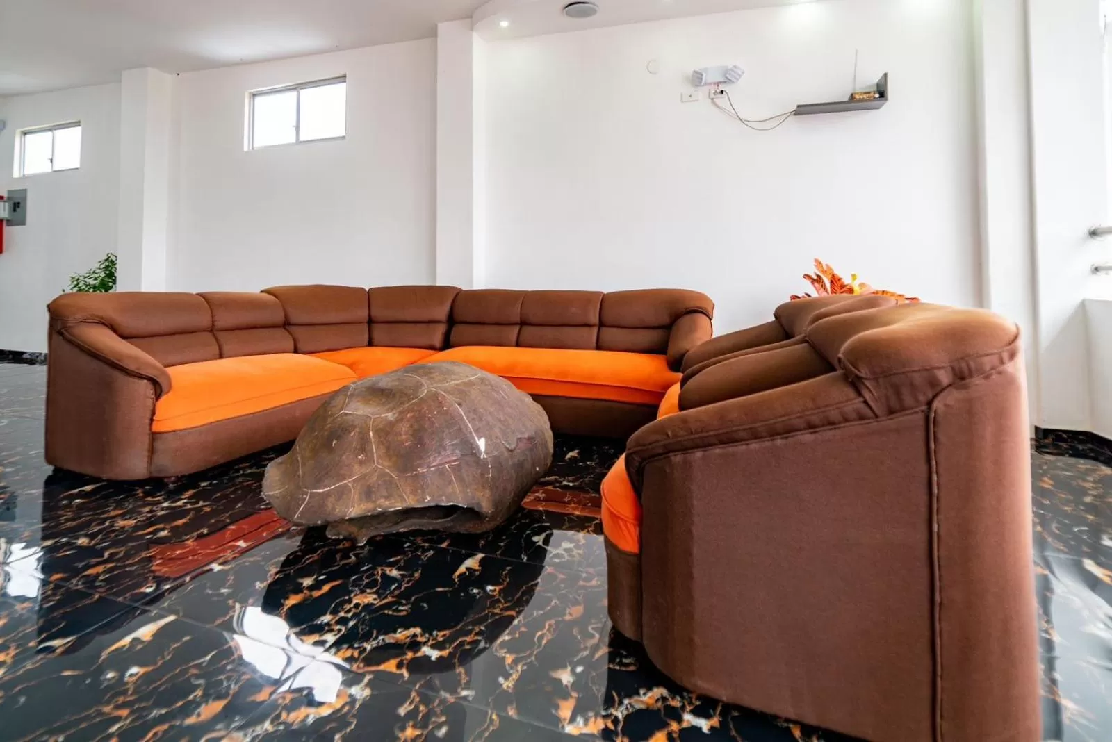 Property building in Patty House Galapagos