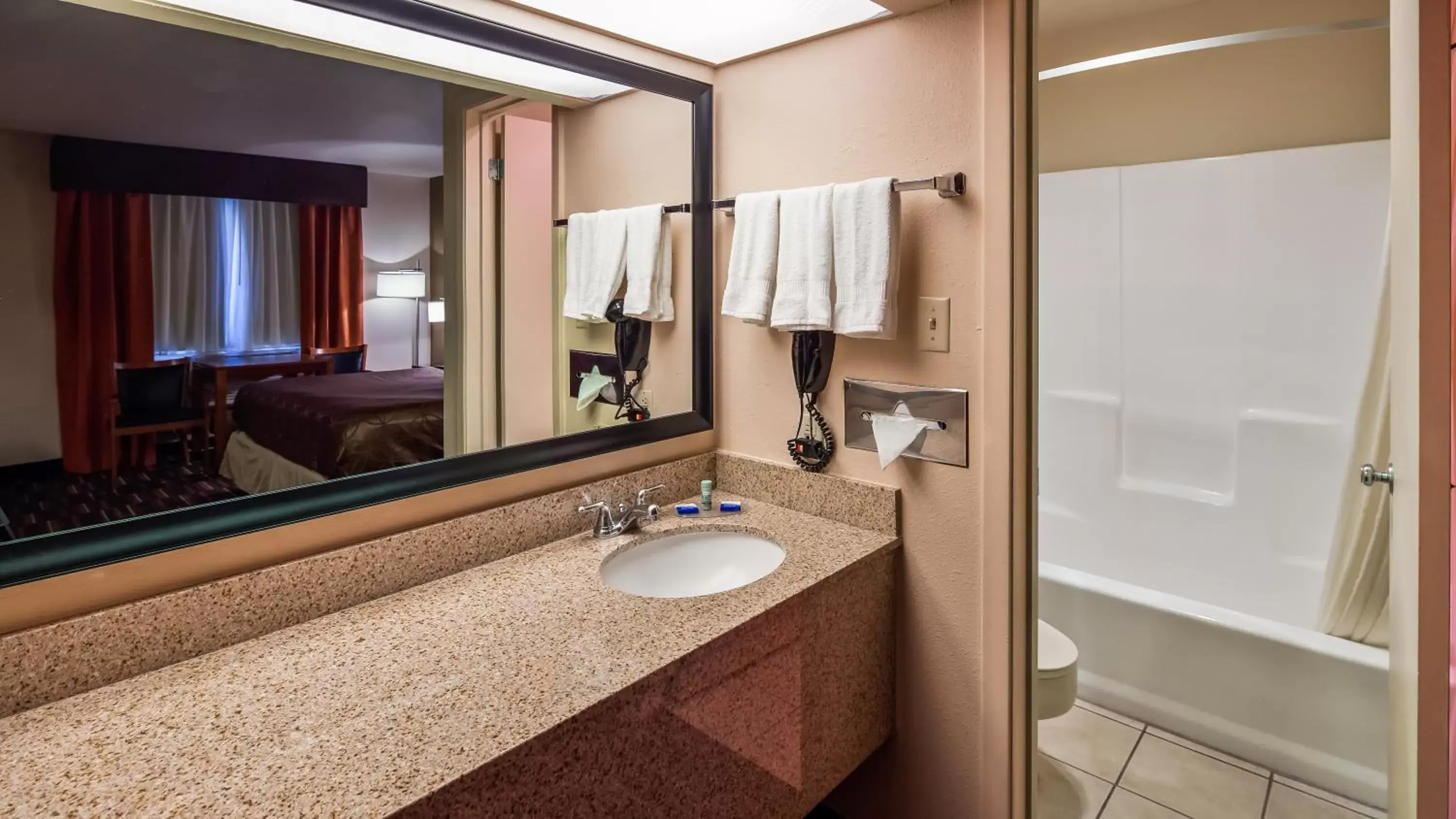 Bathroom in Best Western Executive Inn