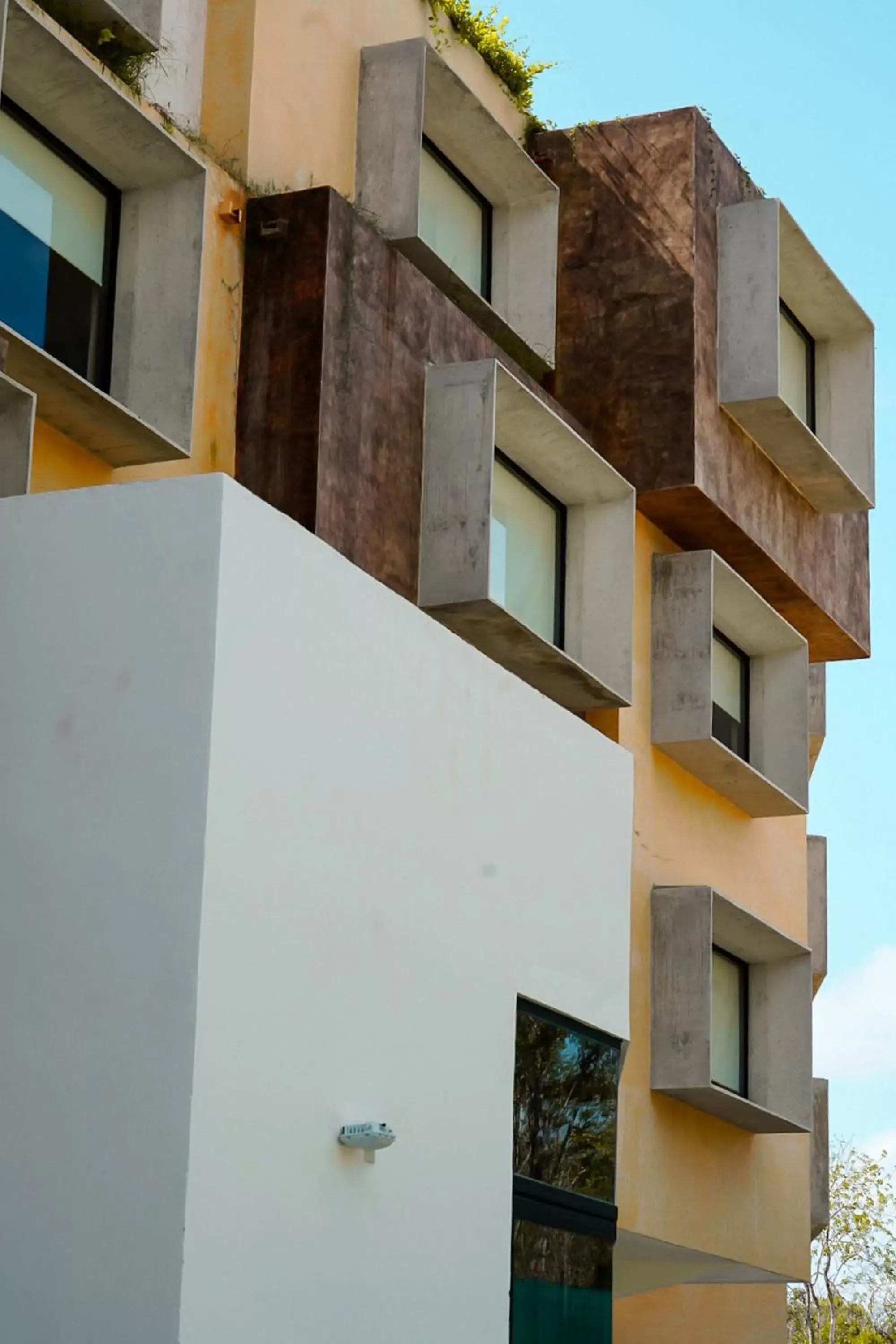 Property Building in Aloft Tulum