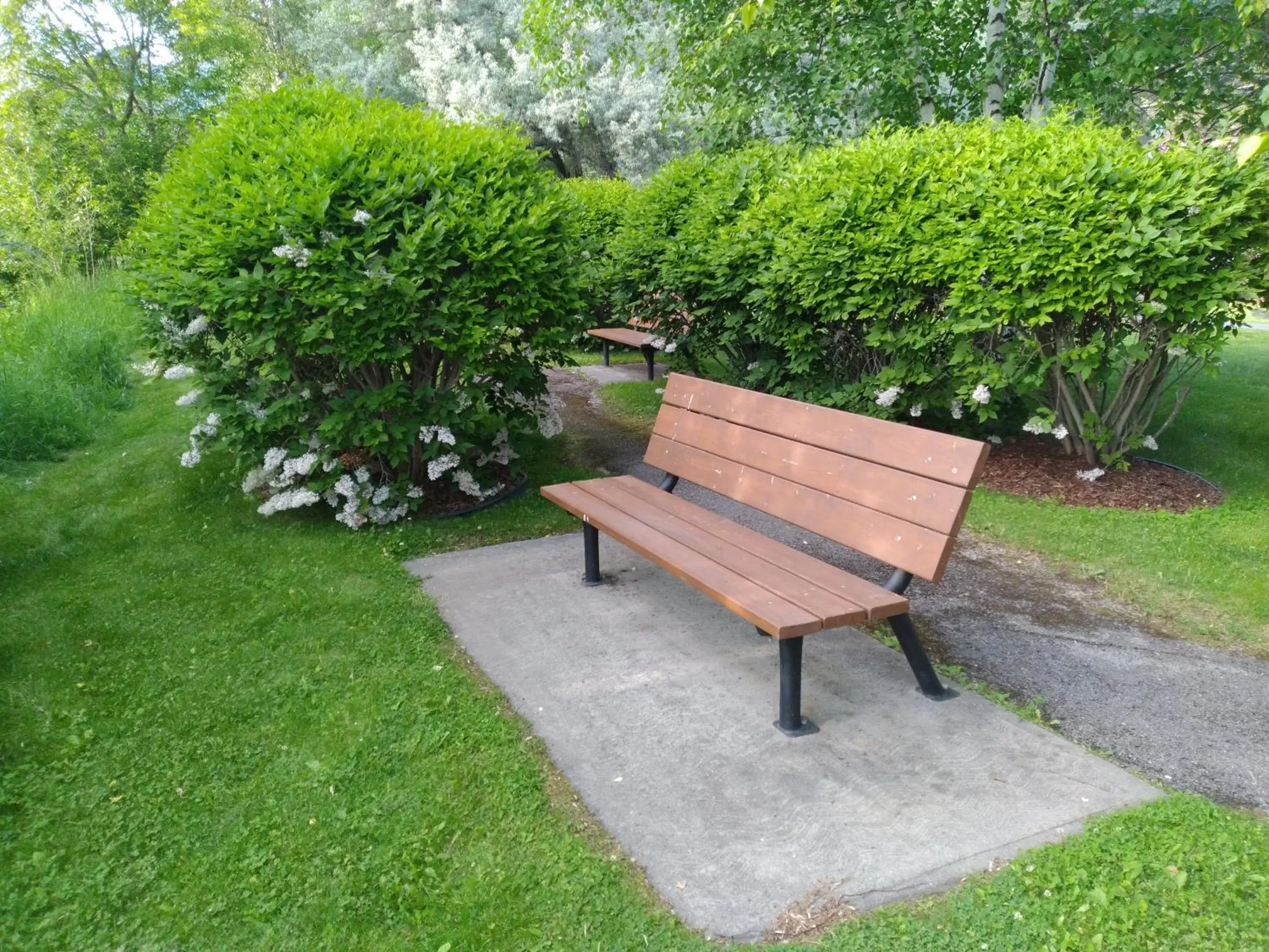 Garden in AppleTree Inn