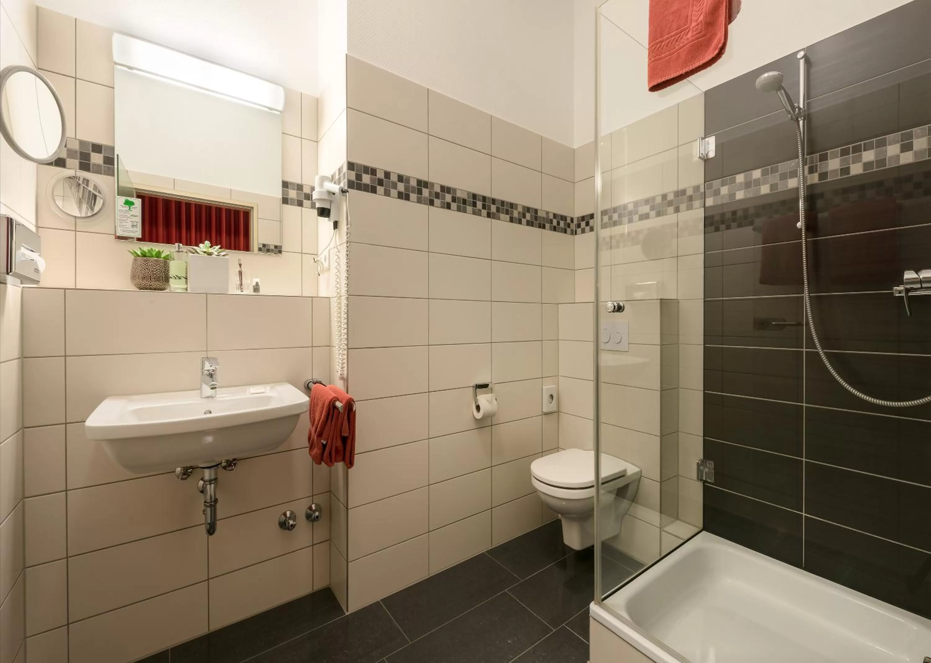 Shower in Hotel Europa