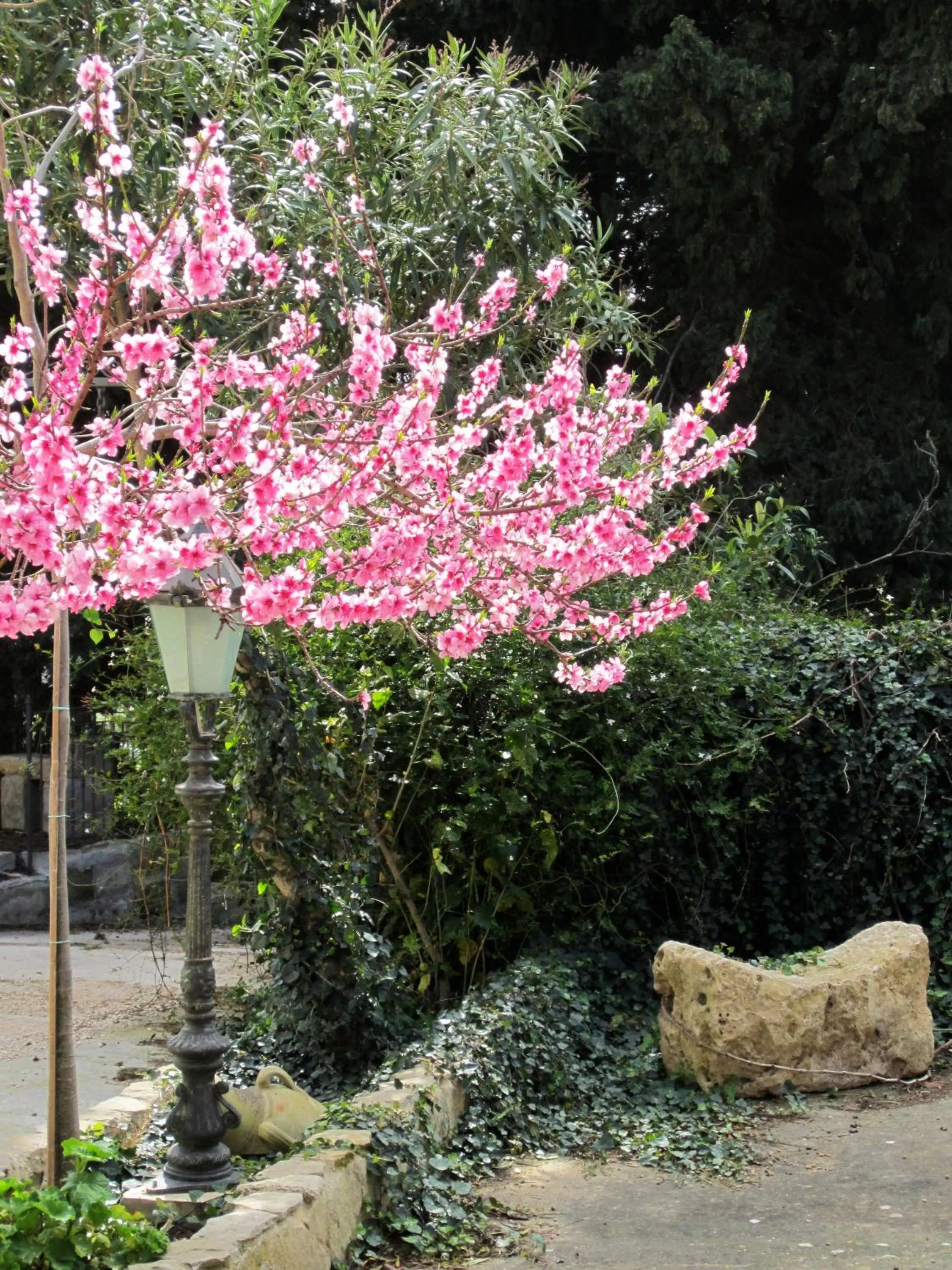Facade/entrance in Xanadu - Villa Giardinata