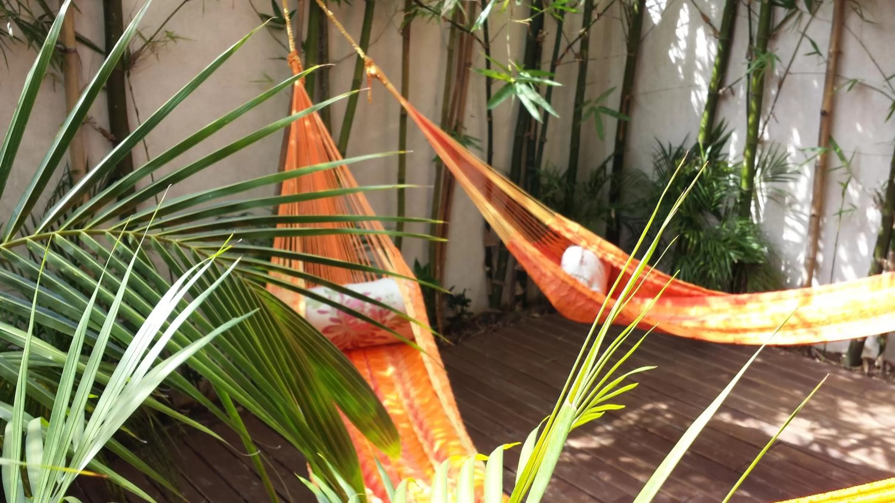 Garden in Maya Vacanze Playa Natural