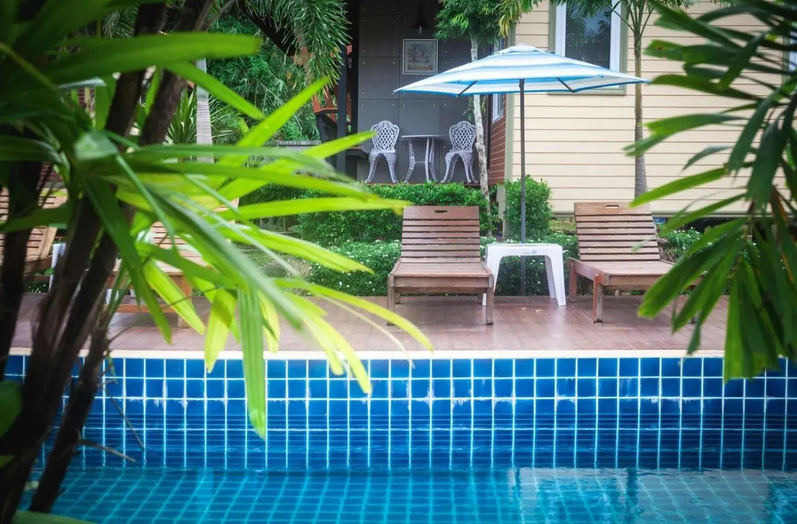 Swimming pool in Siray Green Resort Swimming pool in Siray Green Resort