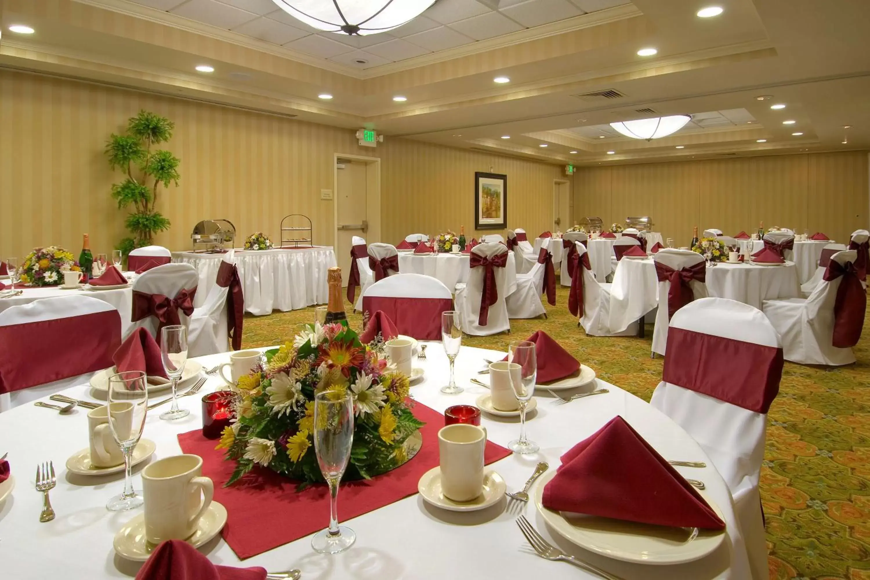 Meeting/conference room, Banquet Facilities in Hilton Garden Inn Sacramento Elk Grove