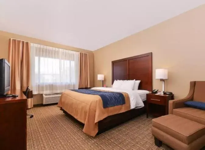 King Room - Accessible/Non-Smoking in Comfort Inn Fountain Hills - Scottsdale
