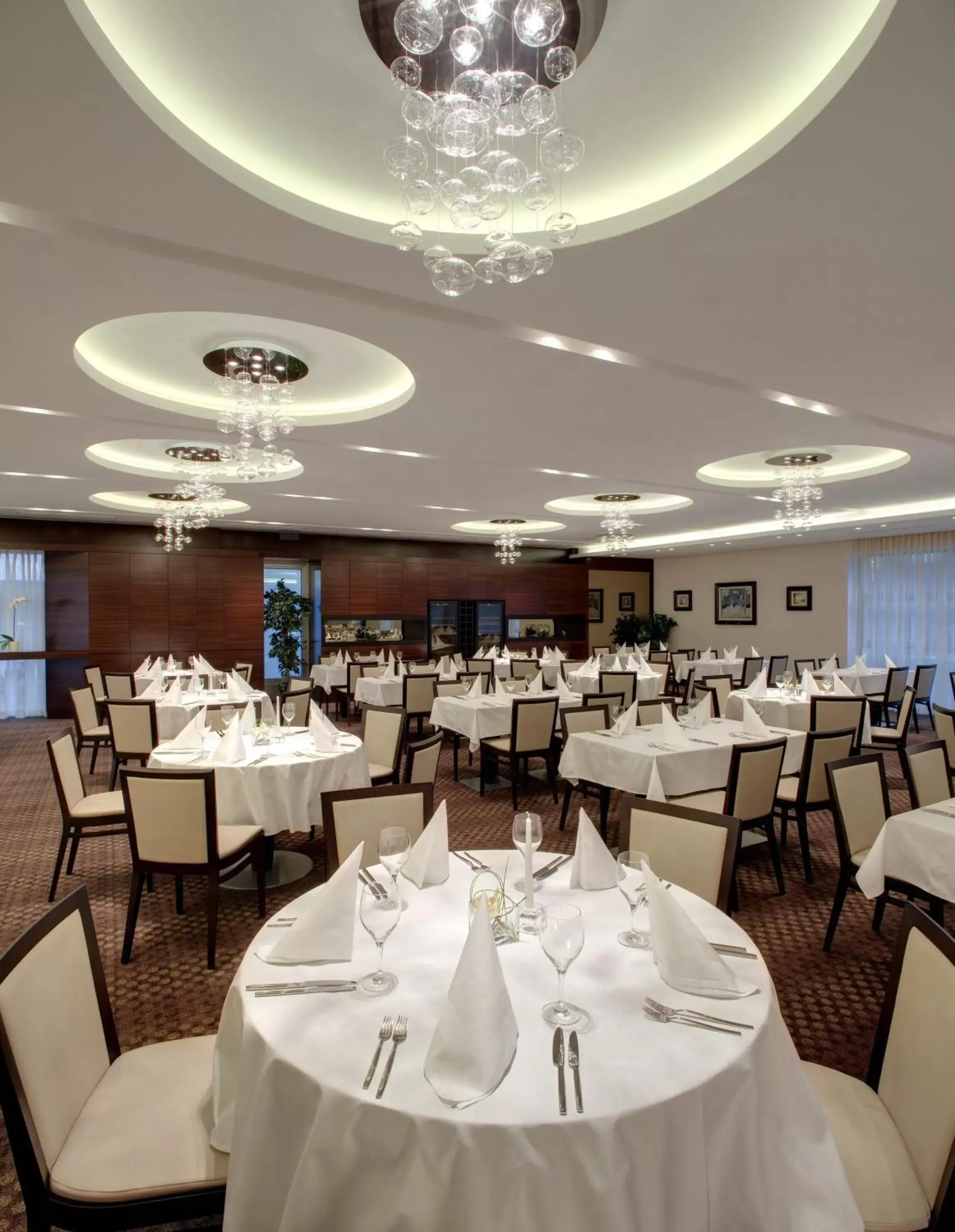 Banquet/Function facilities, Restaurant/Places to Eat in Hotel Aristos