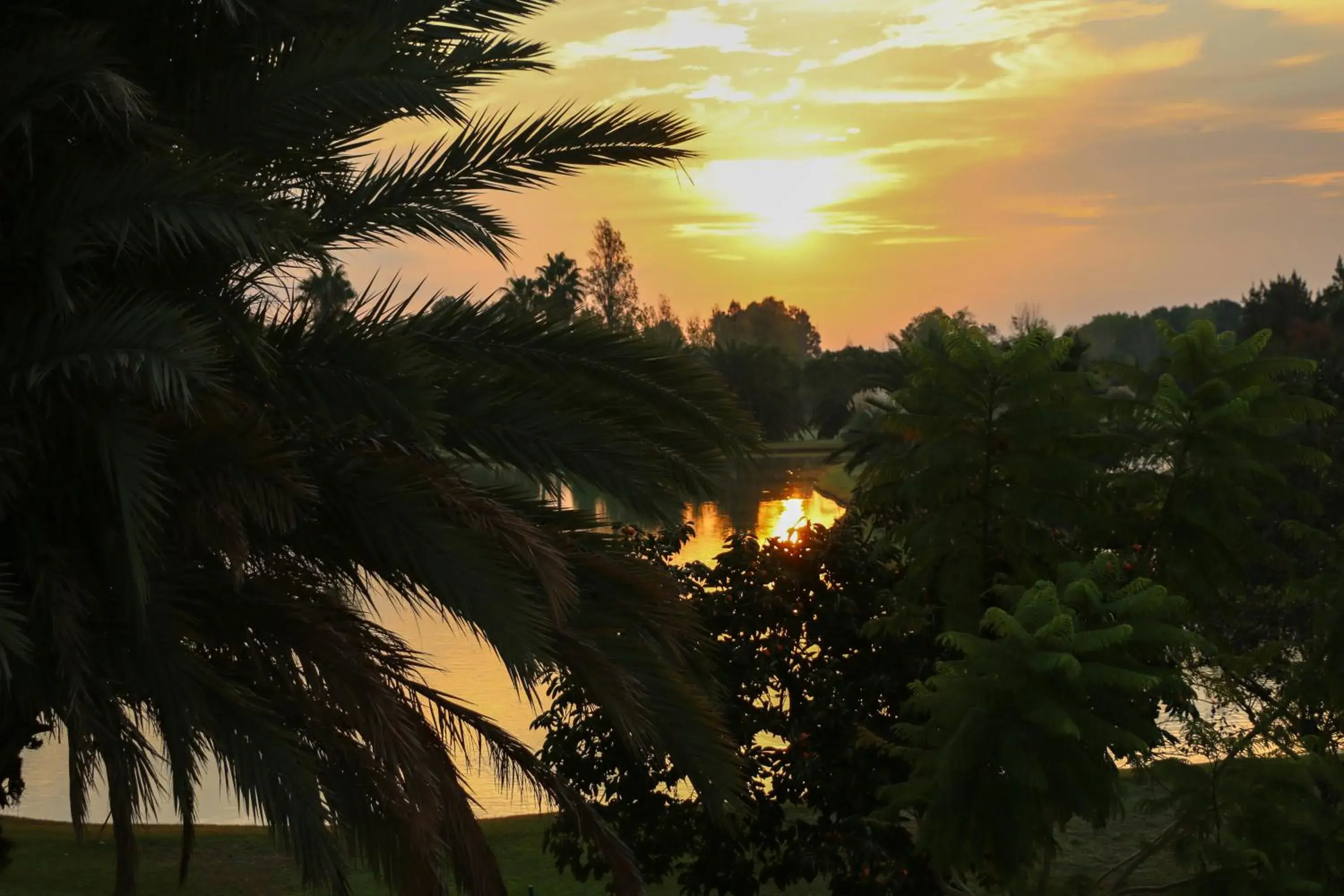 Property building, Sunrise/Sunset in Las Dunas