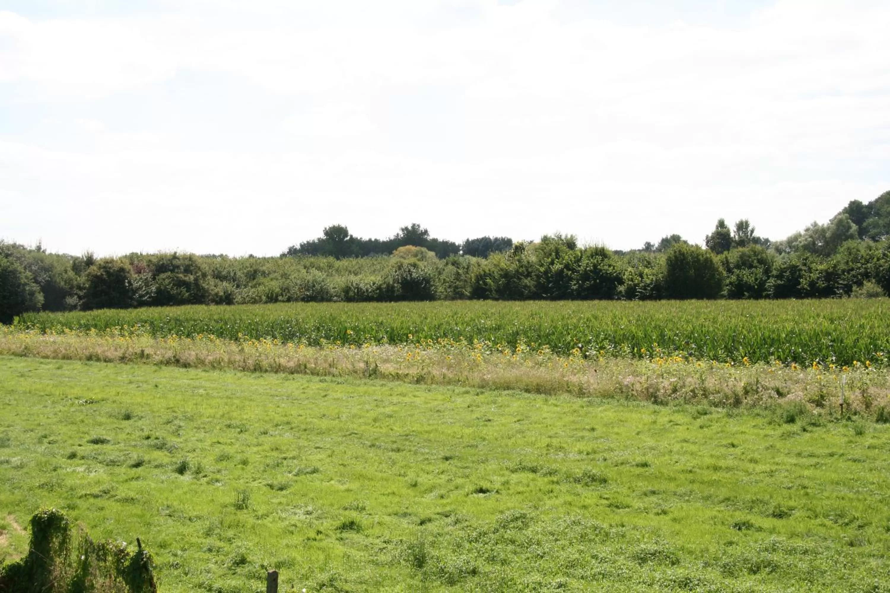 Natural landscape in B&B Aalsters-genot