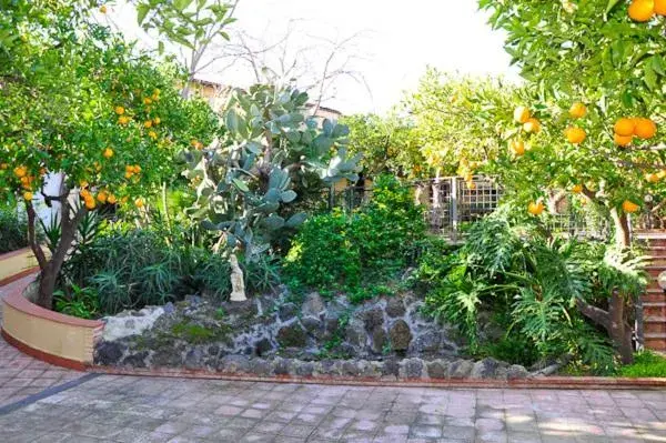 Garden in Ares Hotel