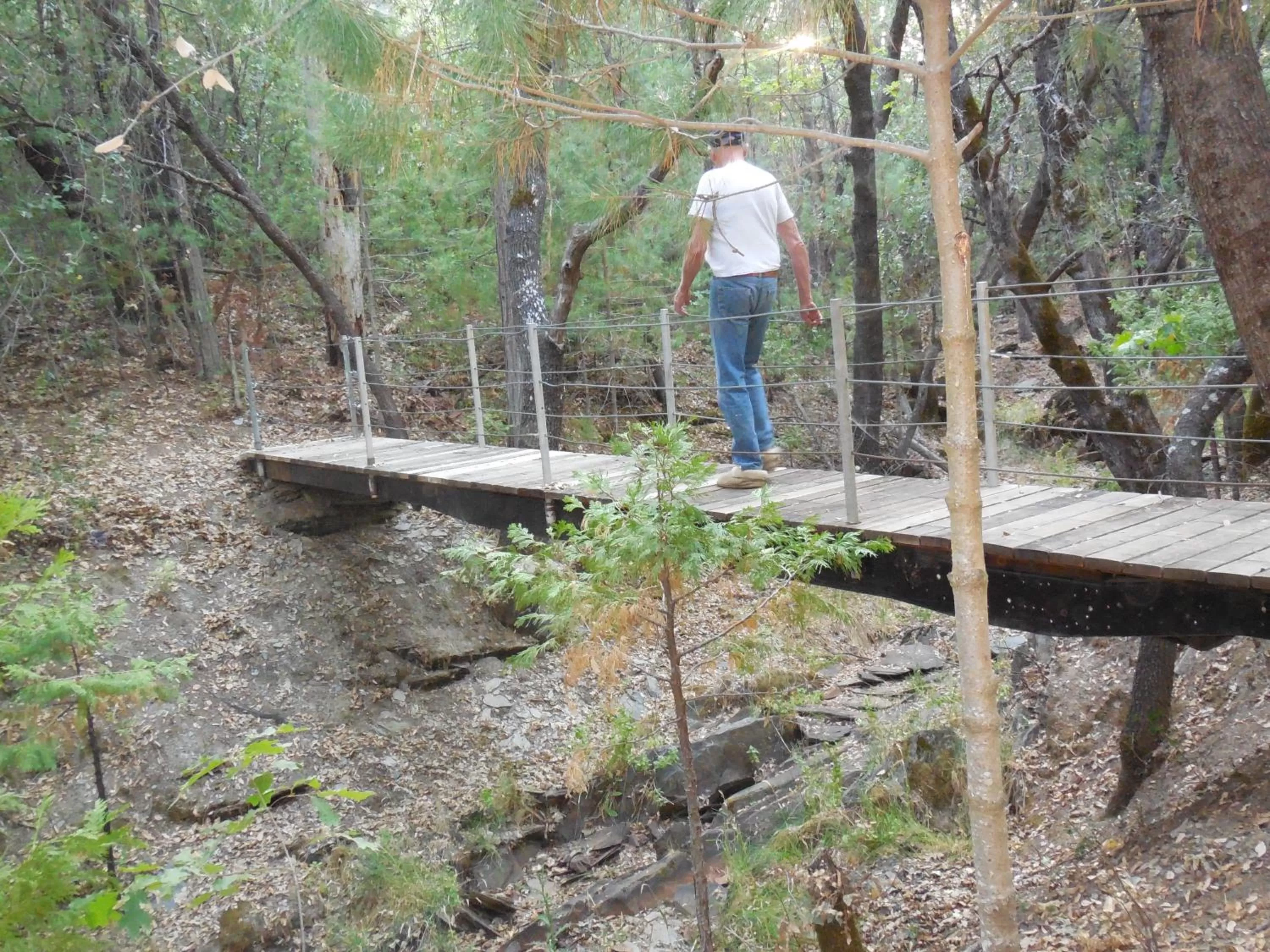 People, Other Activities in Yosemite Paradise Inn
