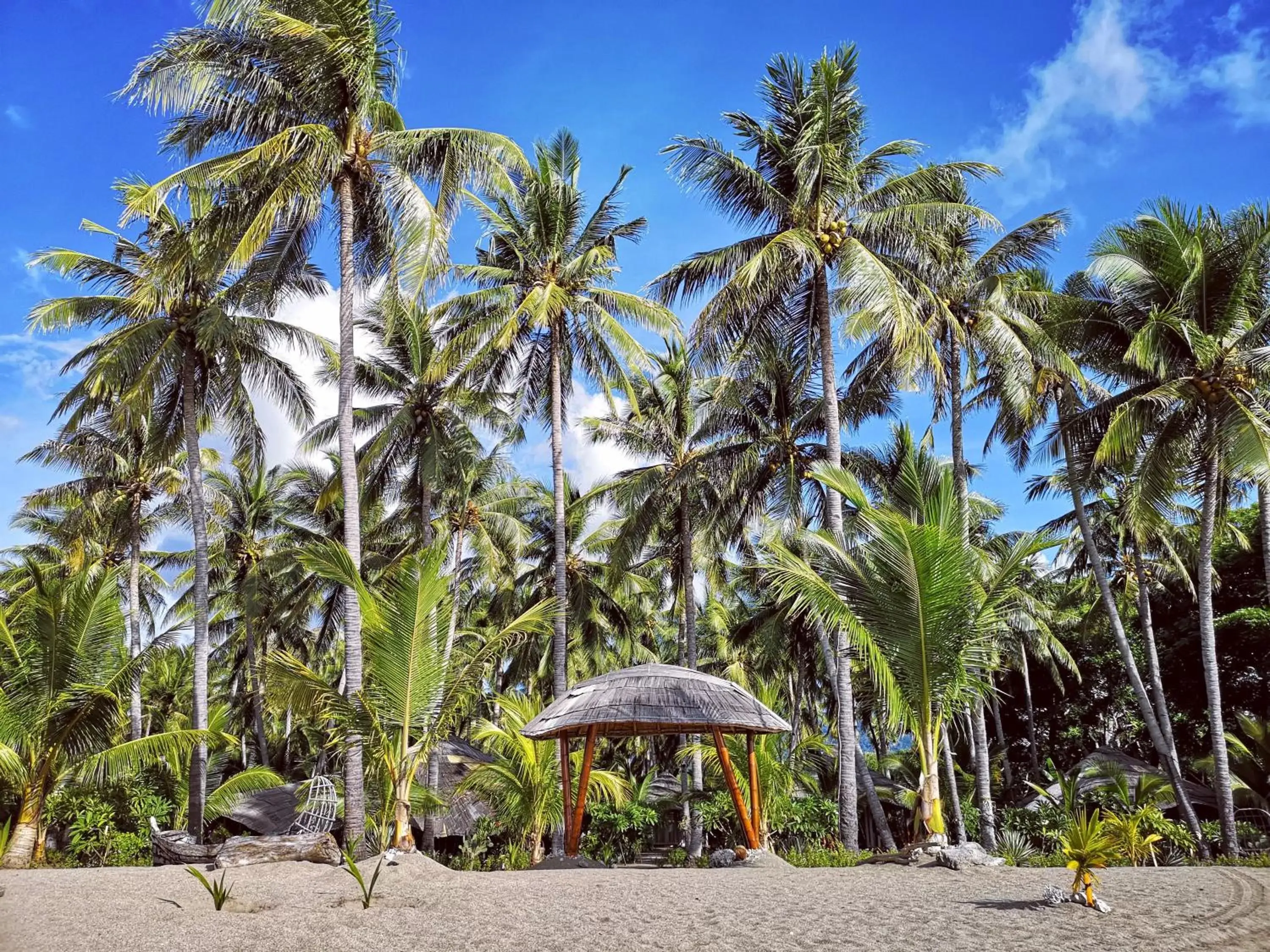 Garden in Coconut Garden Beach Resort