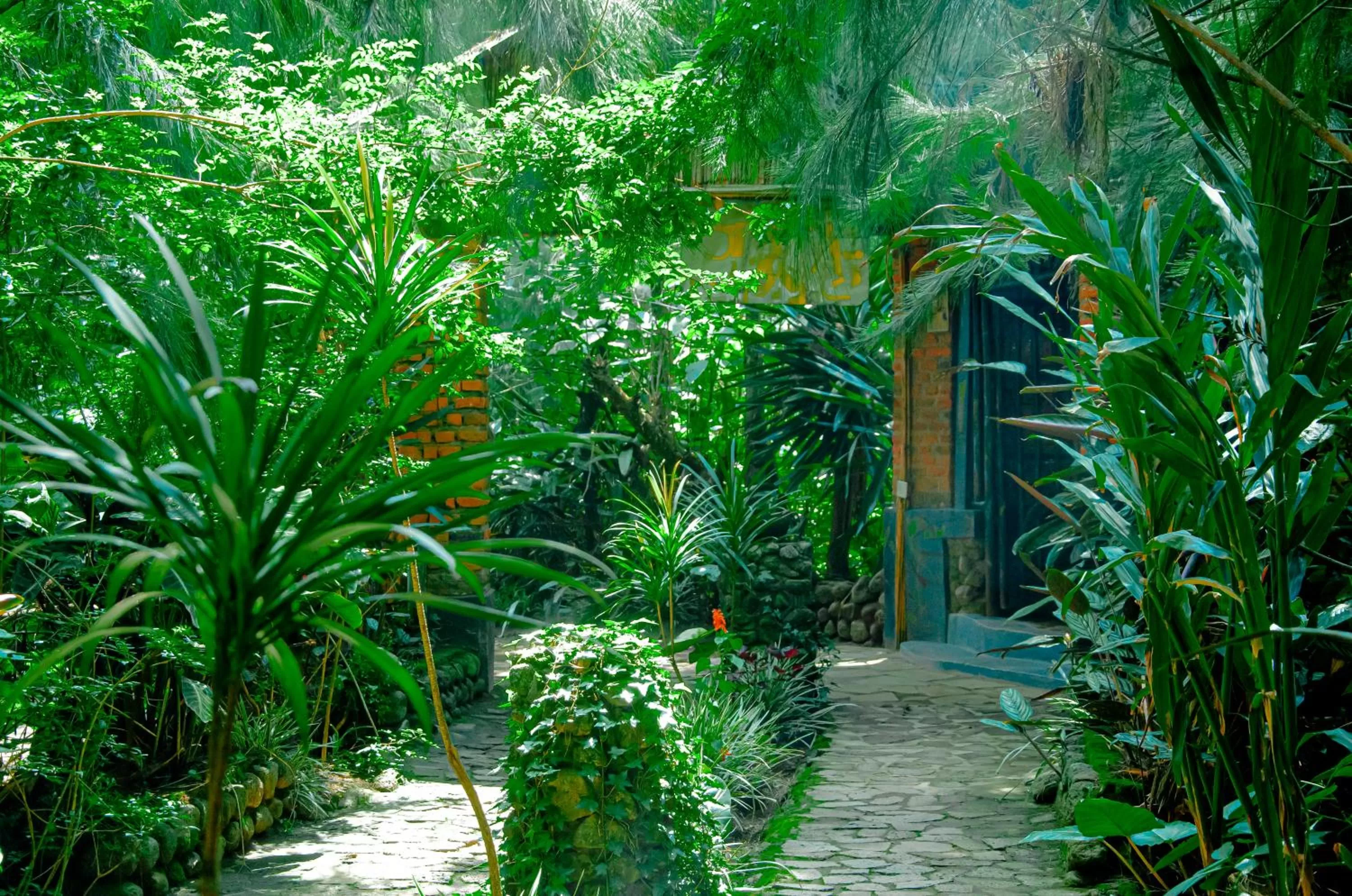 Garden in Fravan Eco Resort By Apogee