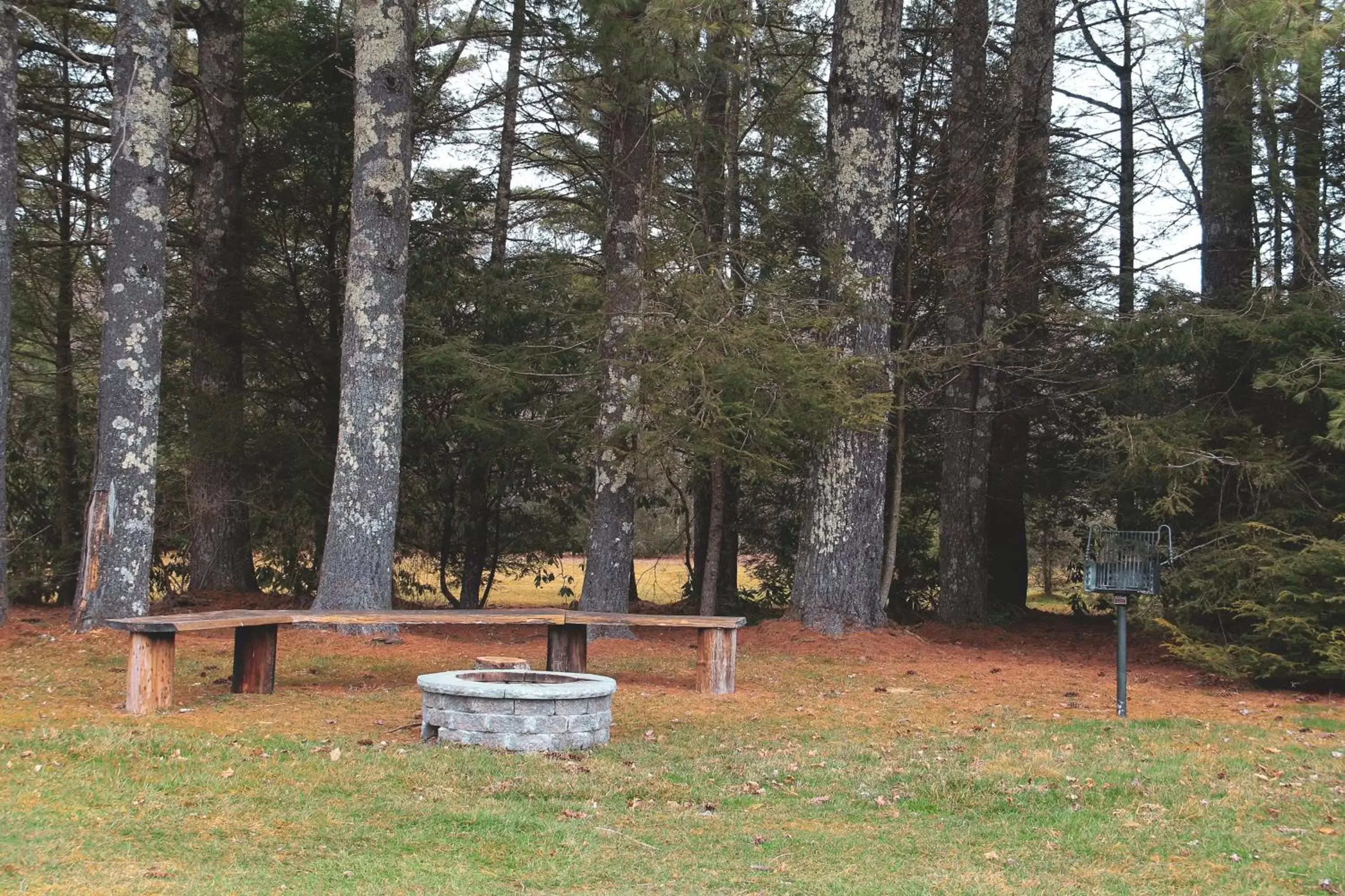 Natural landscape, Garden in The Pineola