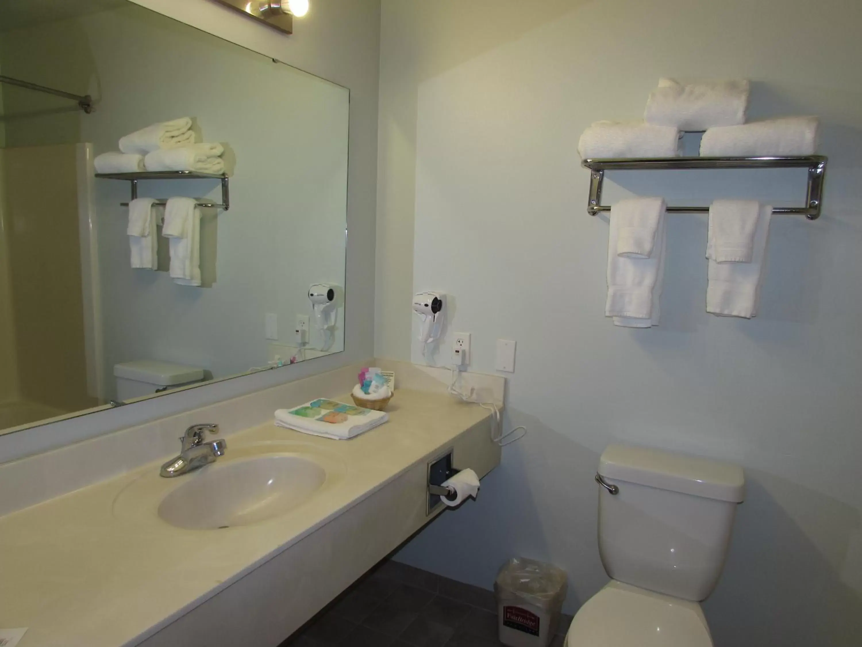 Bathroom in FairBridge Inn & Suites DuPont