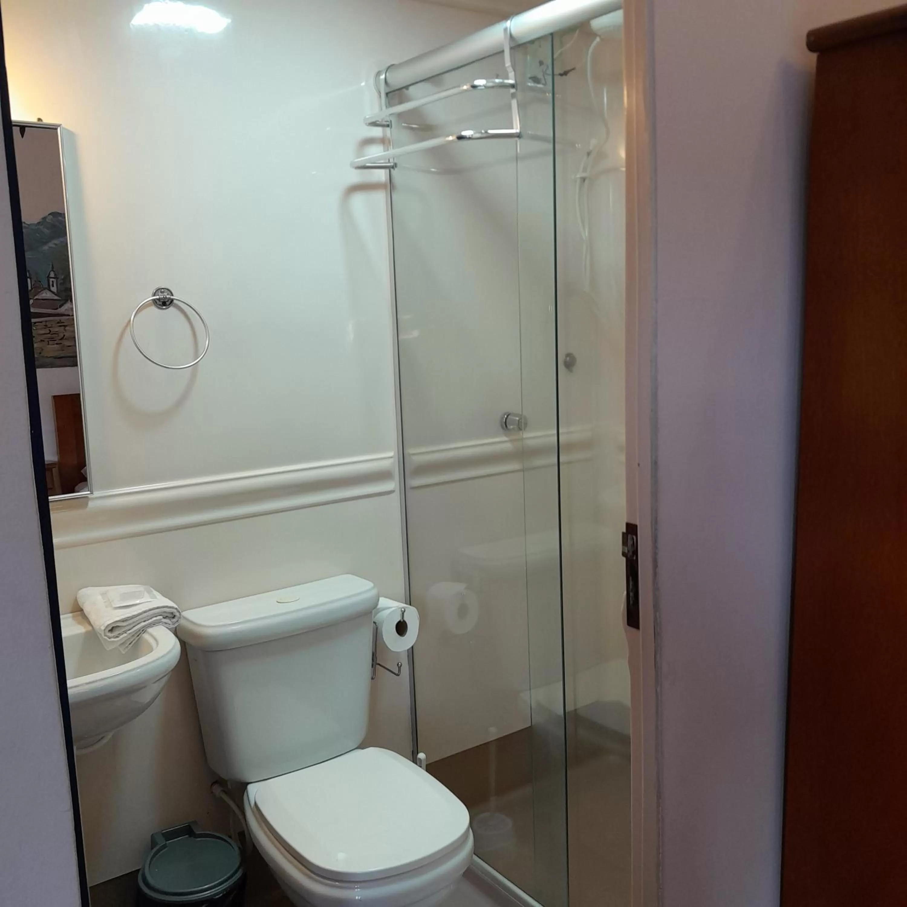 Shower, Bathroom in Hotel Barroco Mineiro