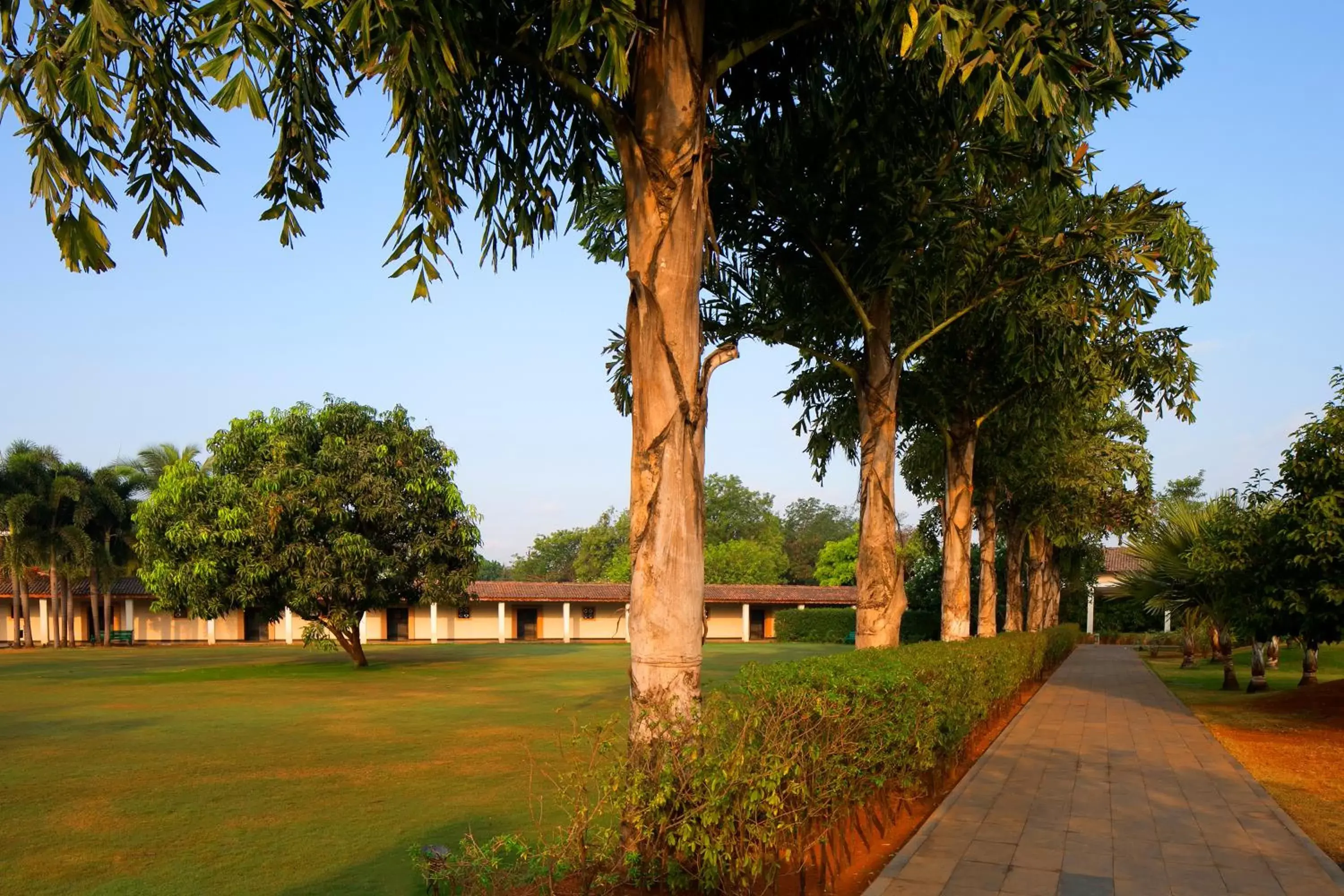 Garden in Radisson Blu Resort & Spa Alibaug