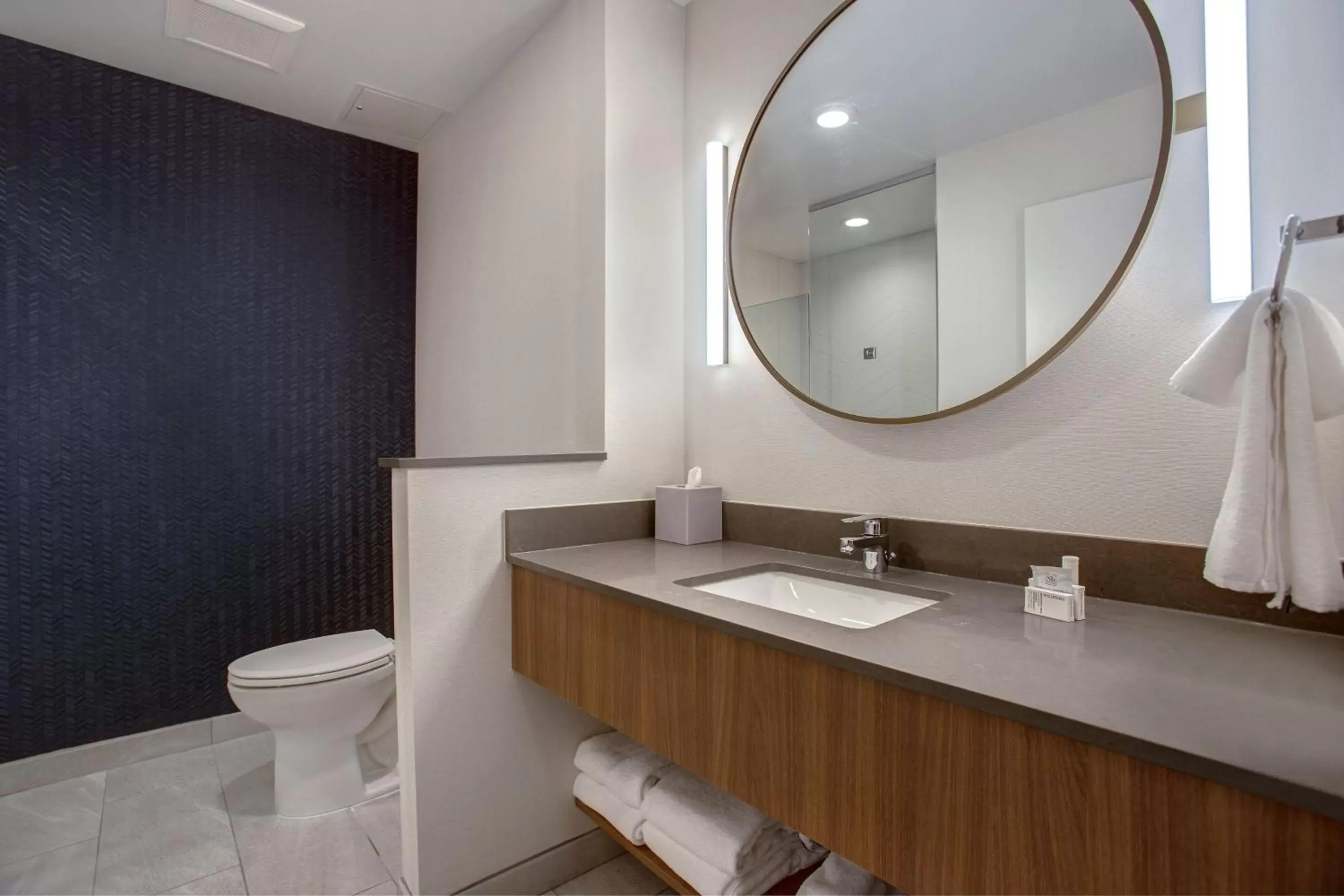 Bathroom in Fairfield by Marriott Inn & Suites Denver Southwest, Littleton