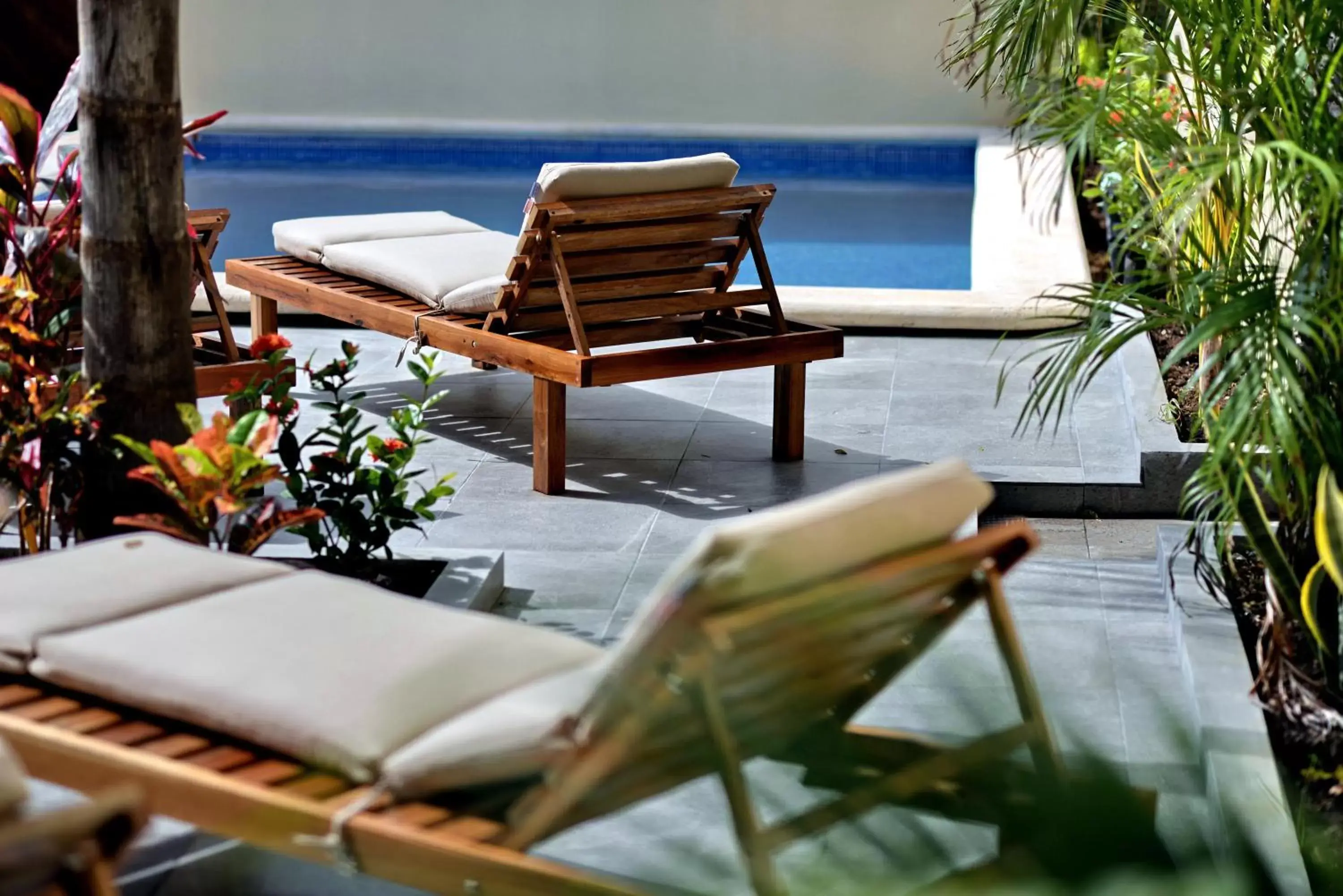 Swimming Pool in Basic Tulum