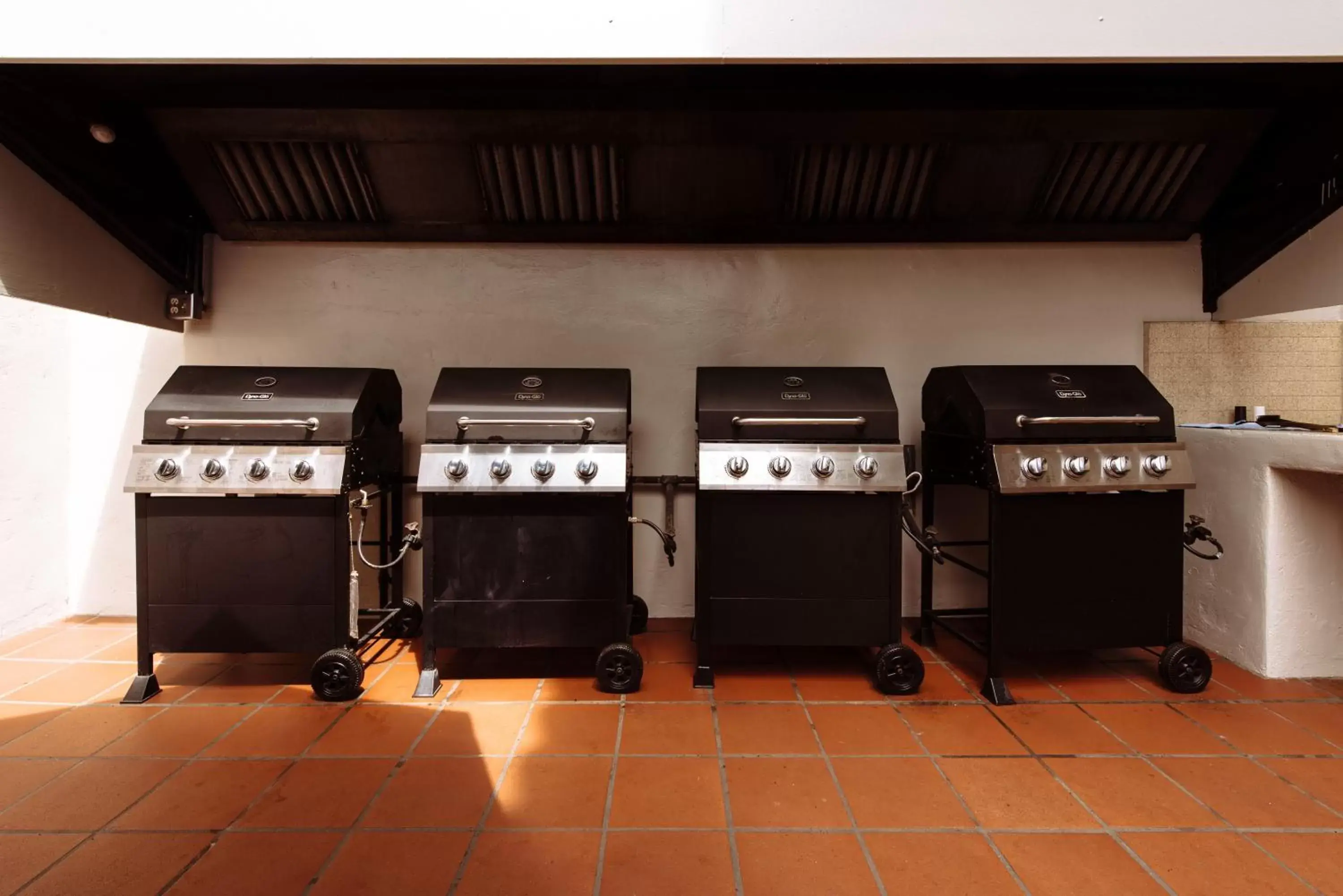 BBQ facilities in Tamarack Beach Hotel