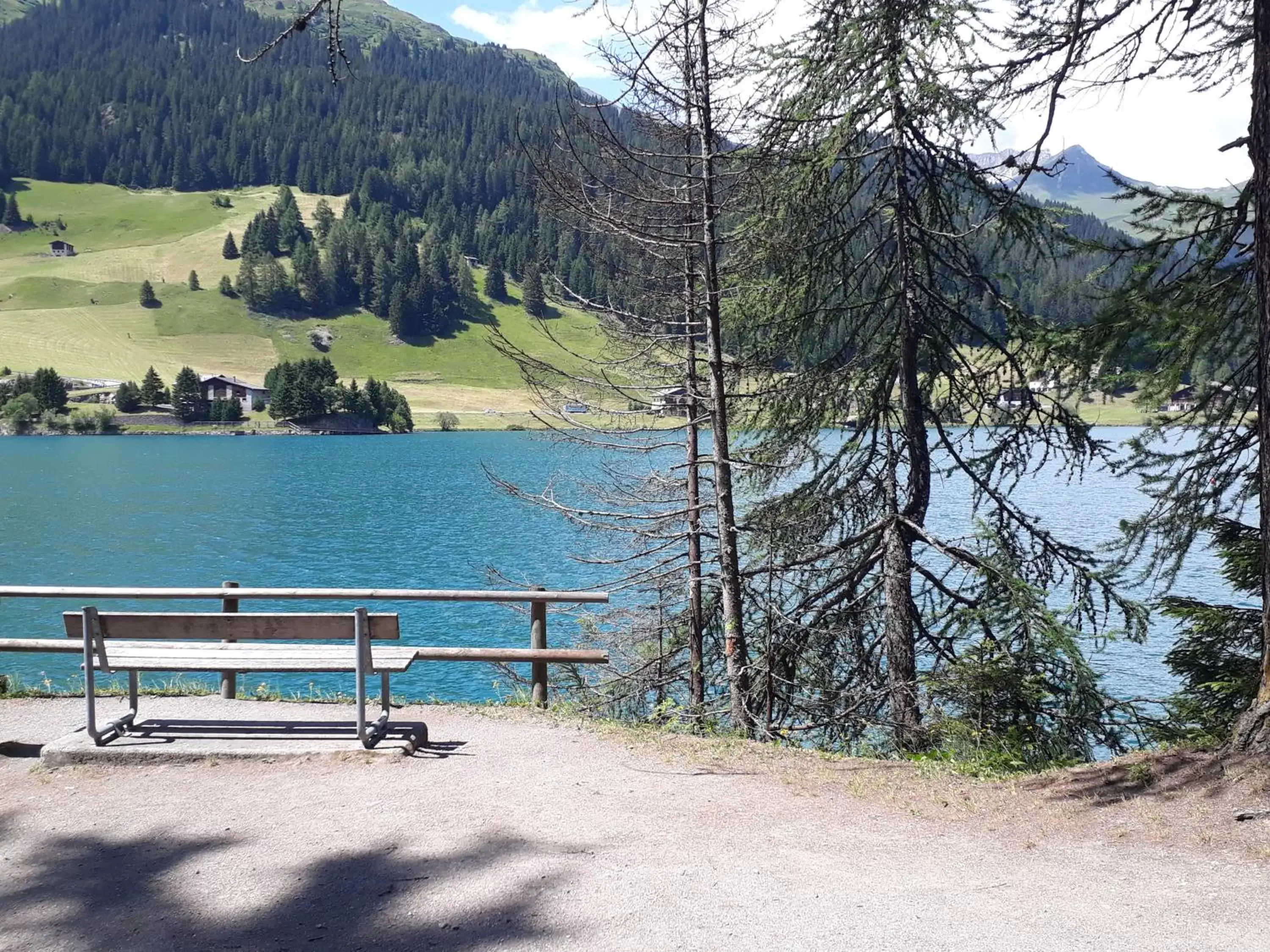 Natural landscape in Bernina Bed and Breakfast