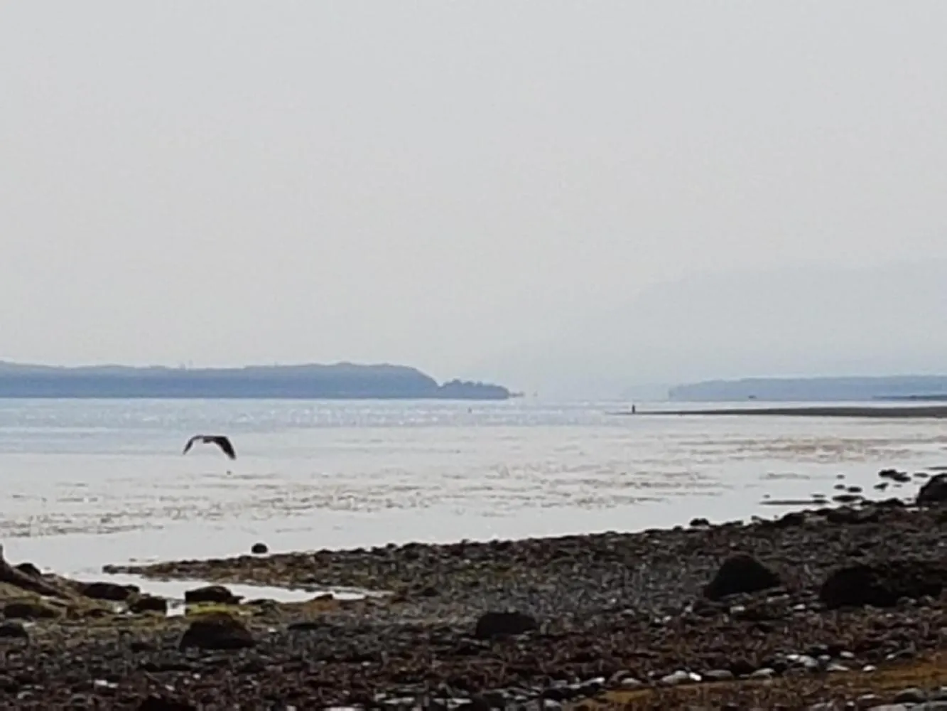 Natural landscape, Beach in Airport Inn
