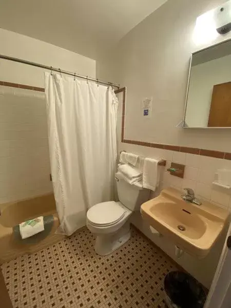 Bathroom in Wachapreague Inn - Motel Rooms