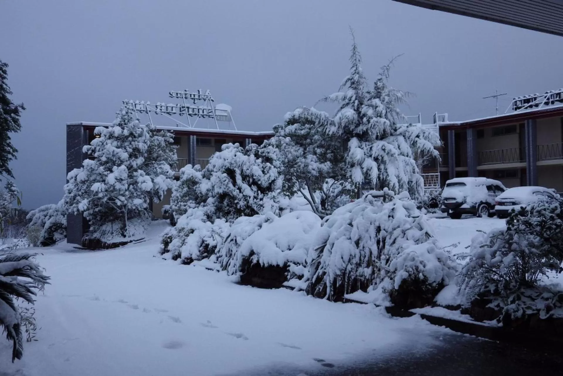 Natural landscape in Alpine Motor Inn