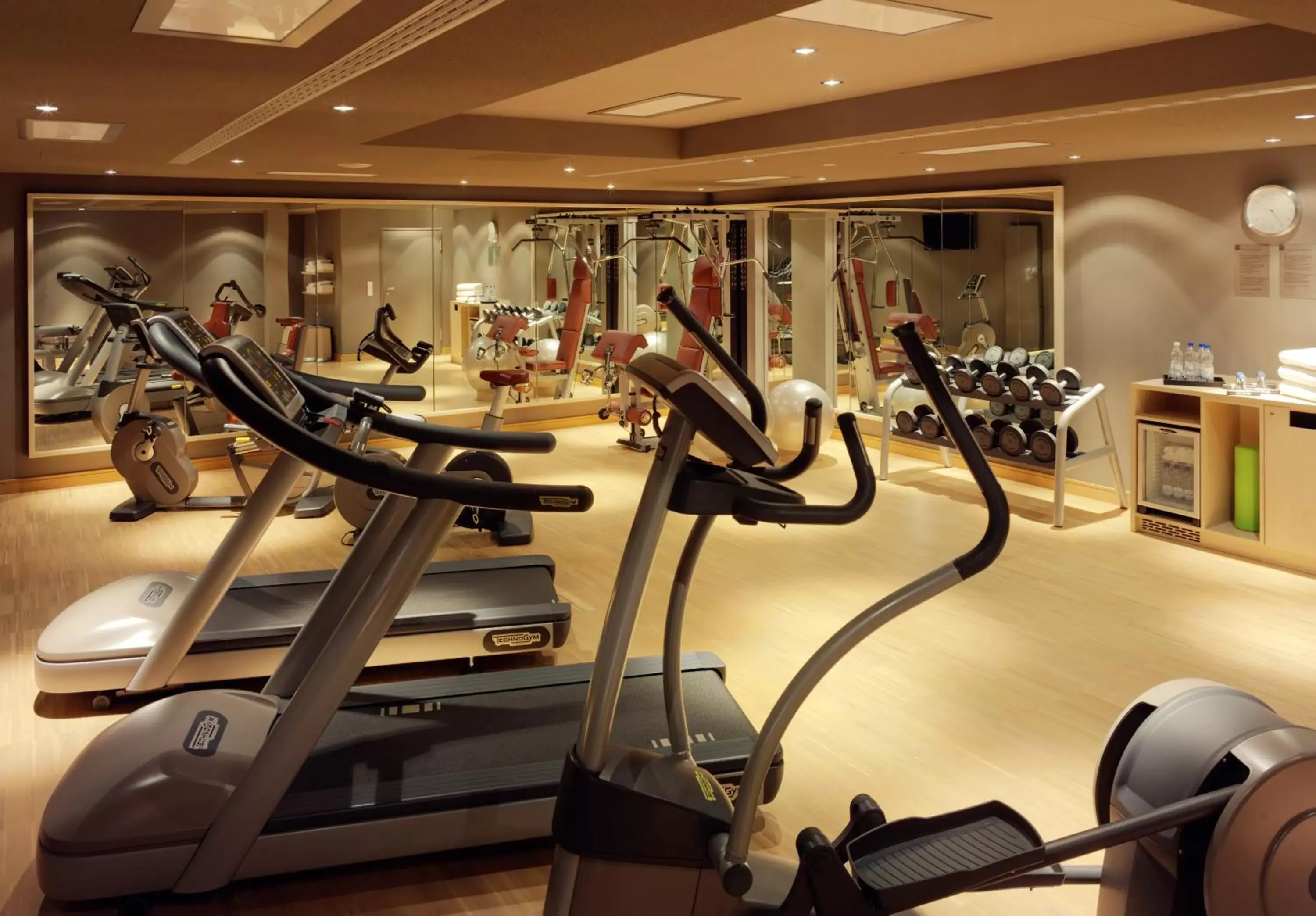 Fitness centre/facilities, Fitness Center/Facilities in Hyperion Hotel Dresden Am Schloss