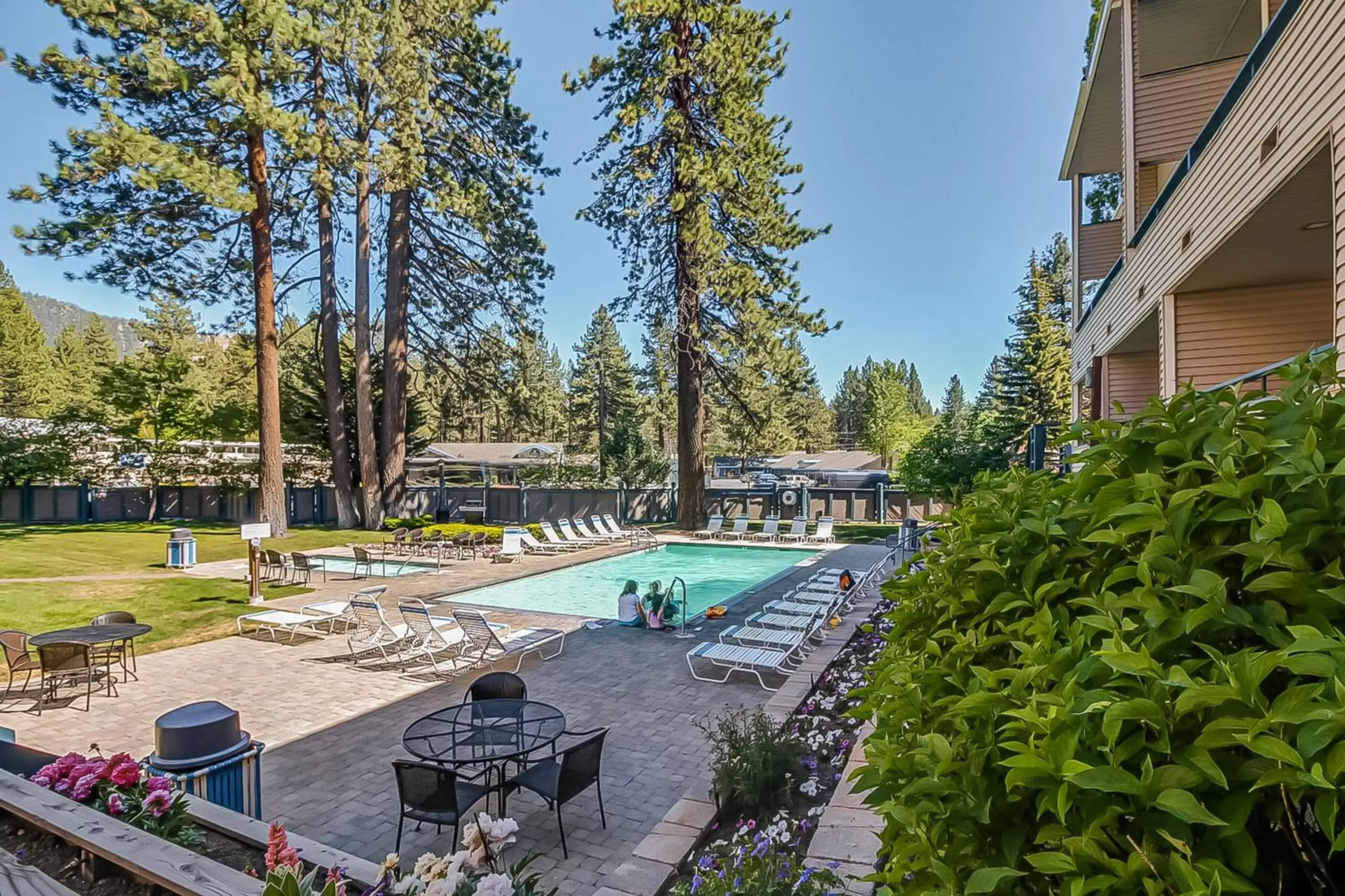 Swimming Pool in Life at the Lodge