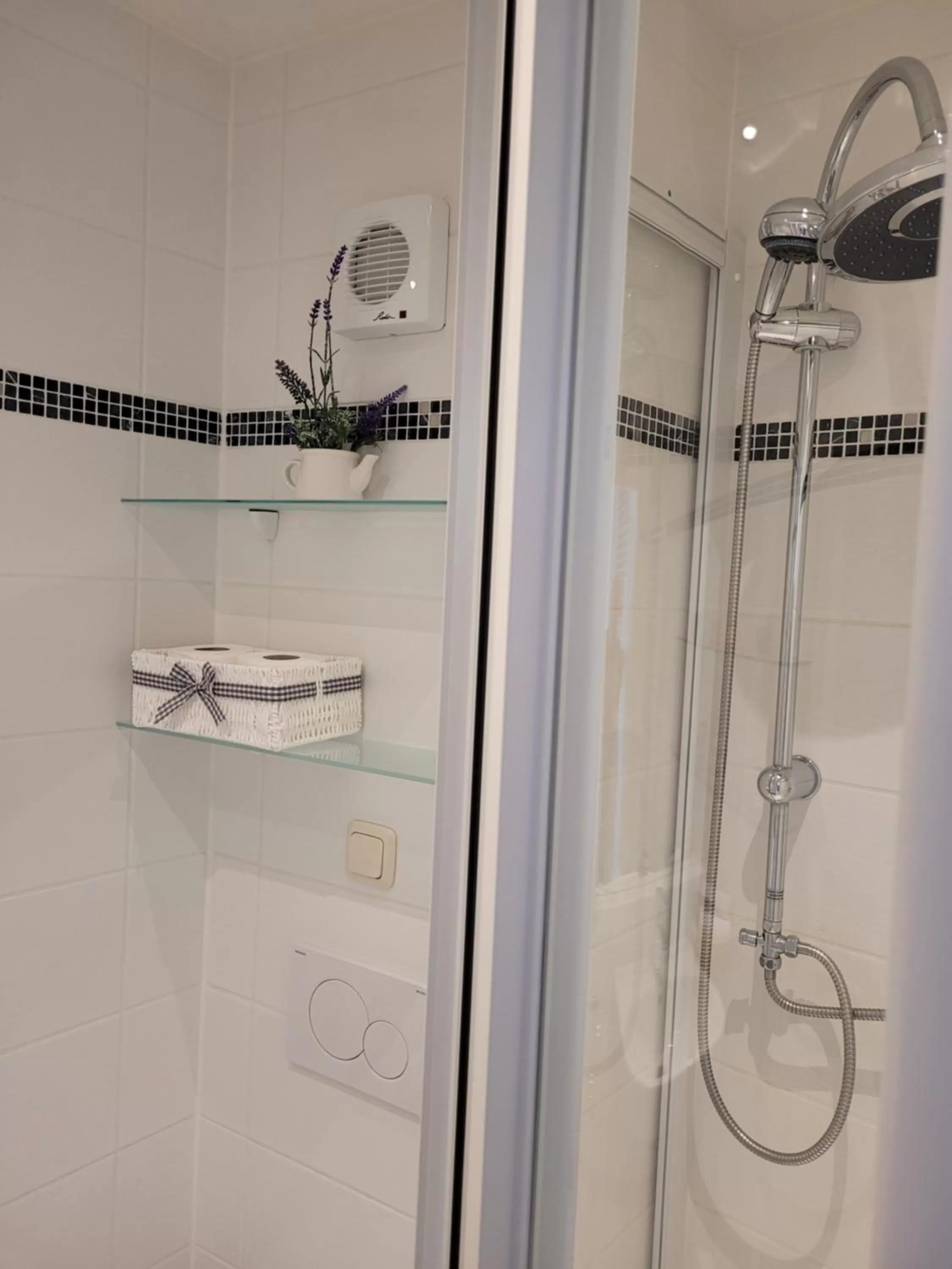 Bathroom in King Panorama mit Netflix