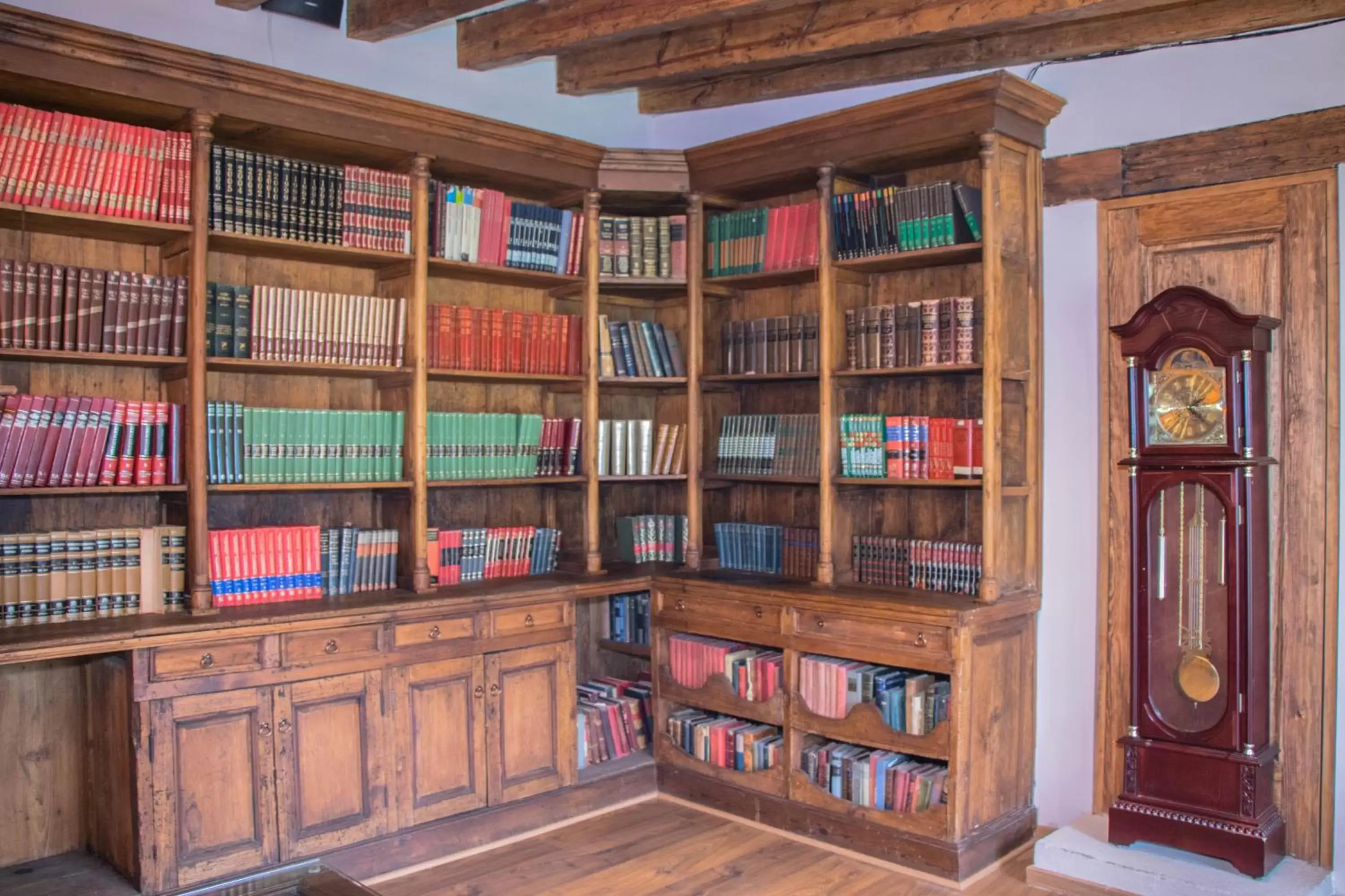 Decorative detail, Library in Gamma Morelia Vista Bella