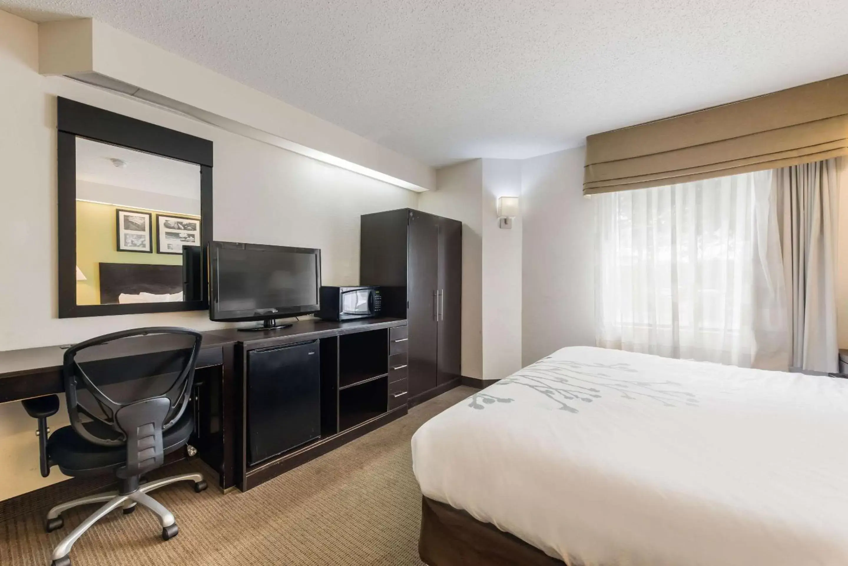 Photo of the whole room, TV/Entertainment Center in Rodeway Inn