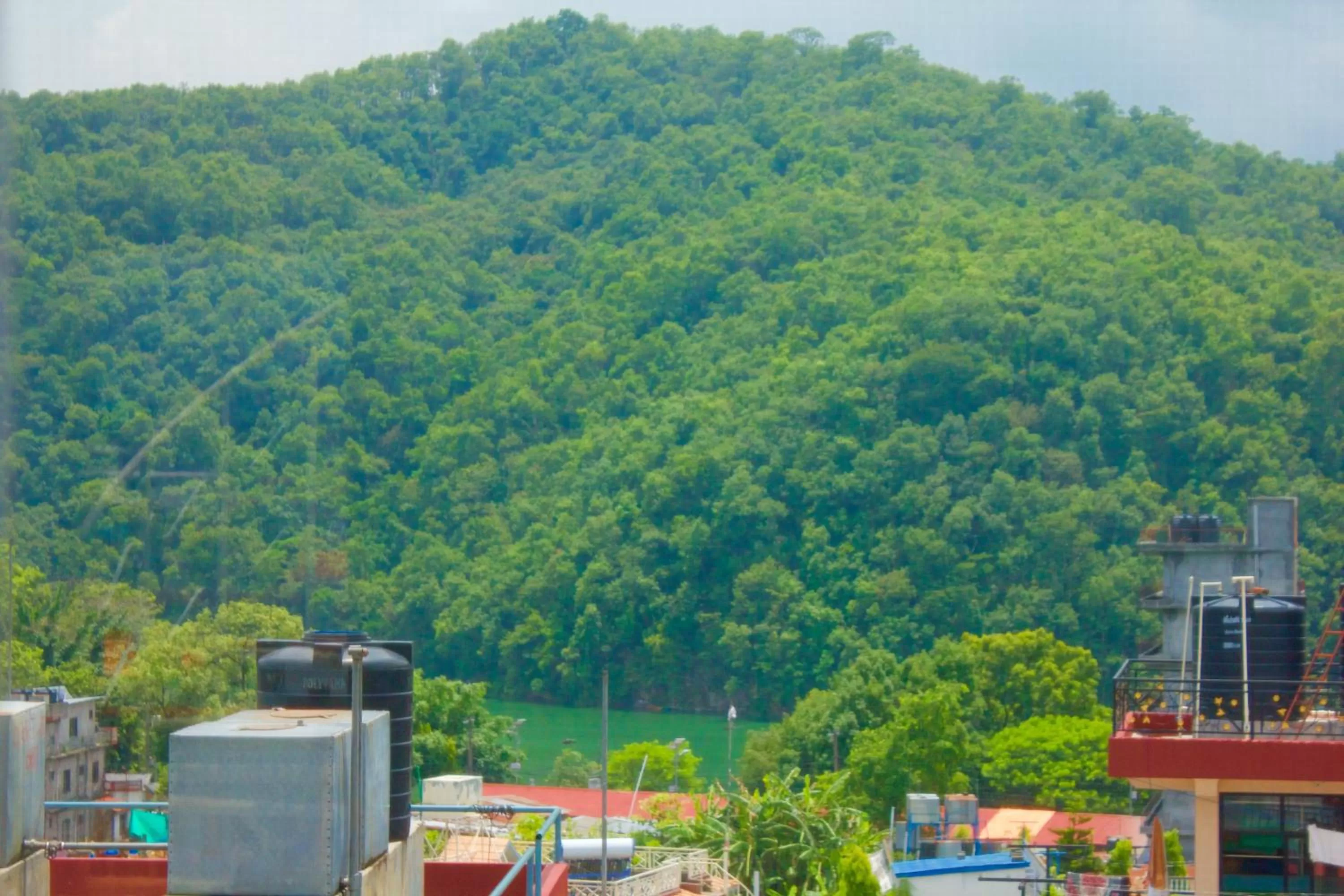 Lake view in Hotel Himalayan Inn