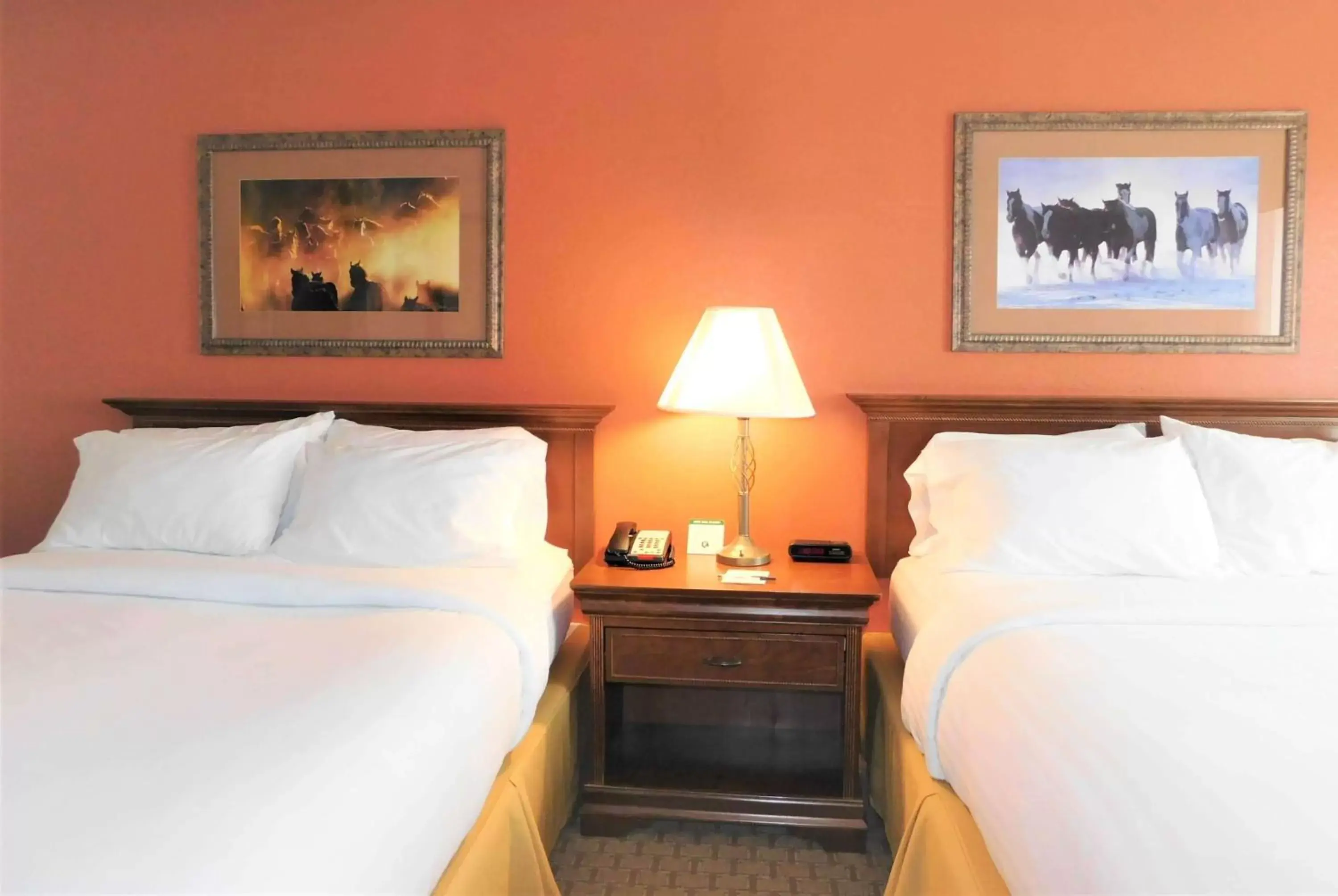 Photo of the whole room, Bed in Americinn by Wyndham Ogallala