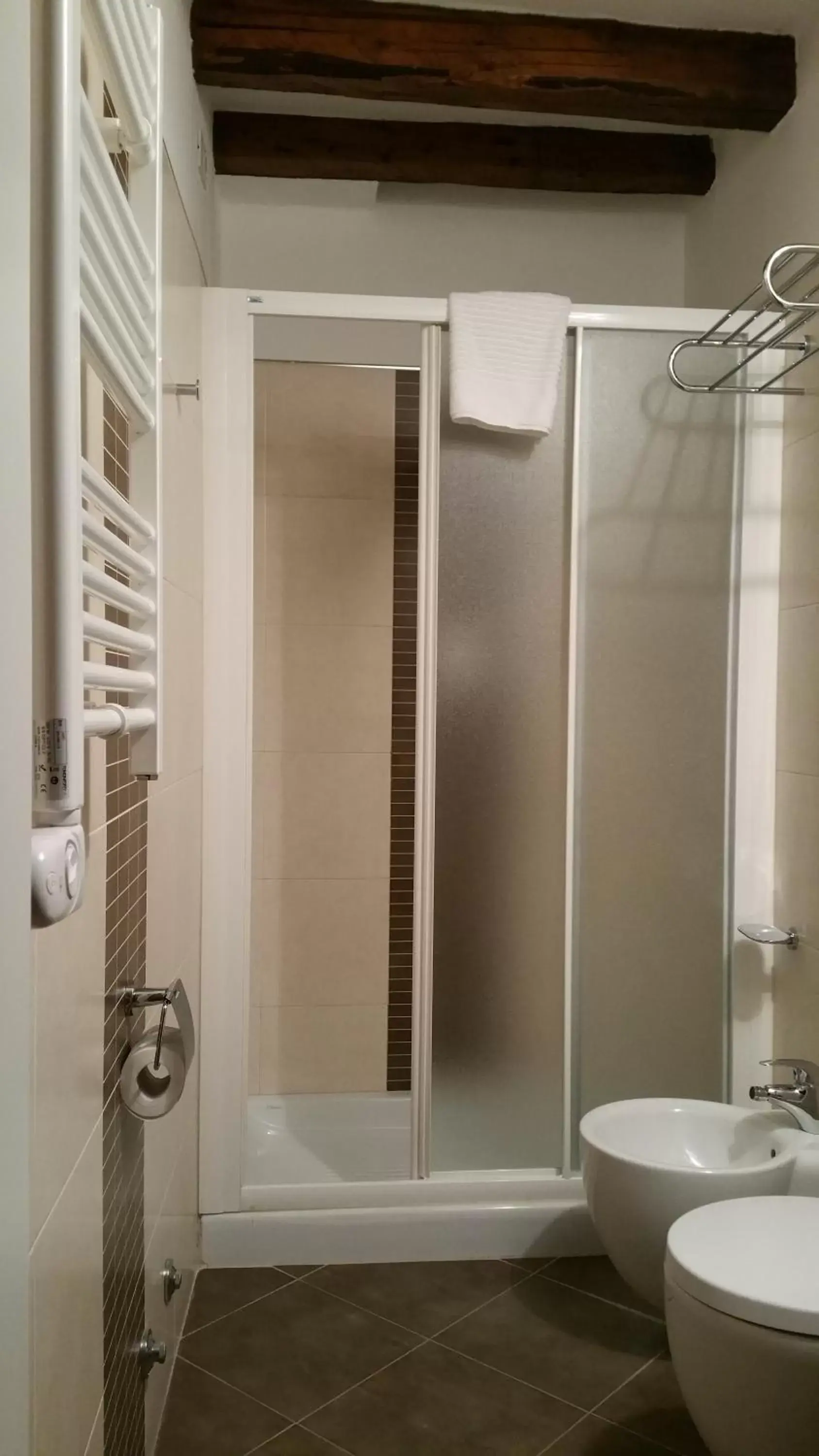 Shower, Bathroom in Hotel Rio