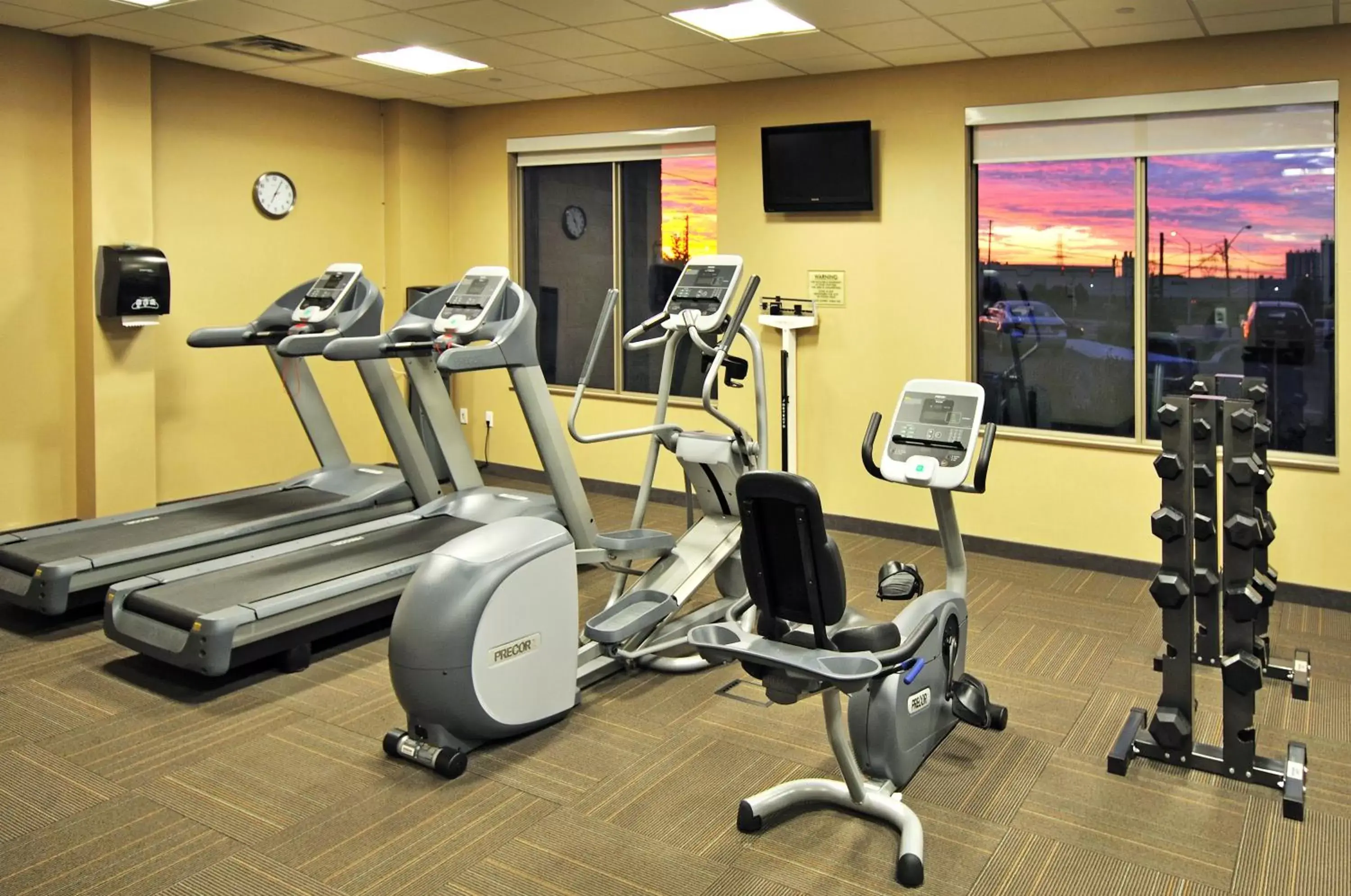 Spa and wellness centre/facilities, Fitness Center/Facilities in Holiday Inn Express & Suites Vaughan-Southwest, an IHG Hotel