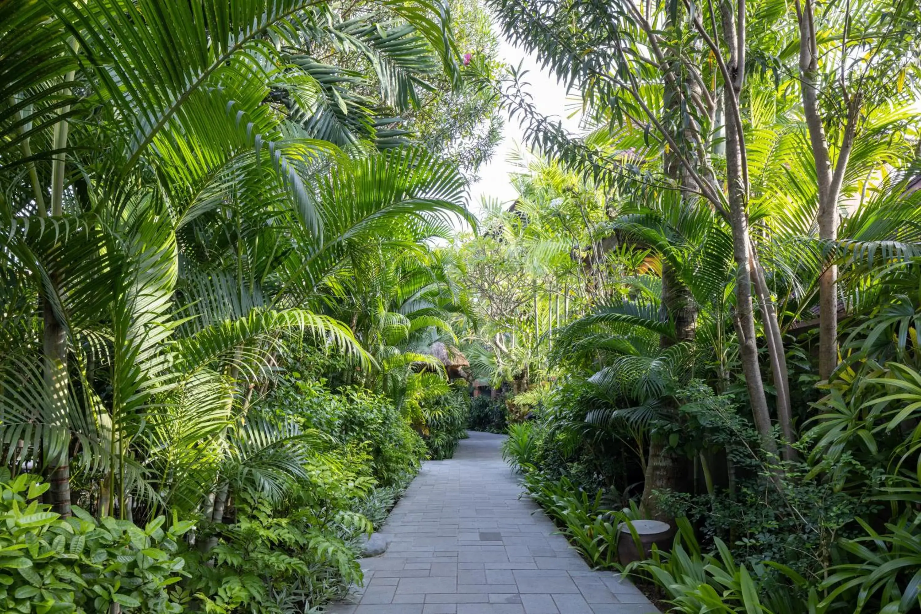 Area and facilities in The Alantara Sanur